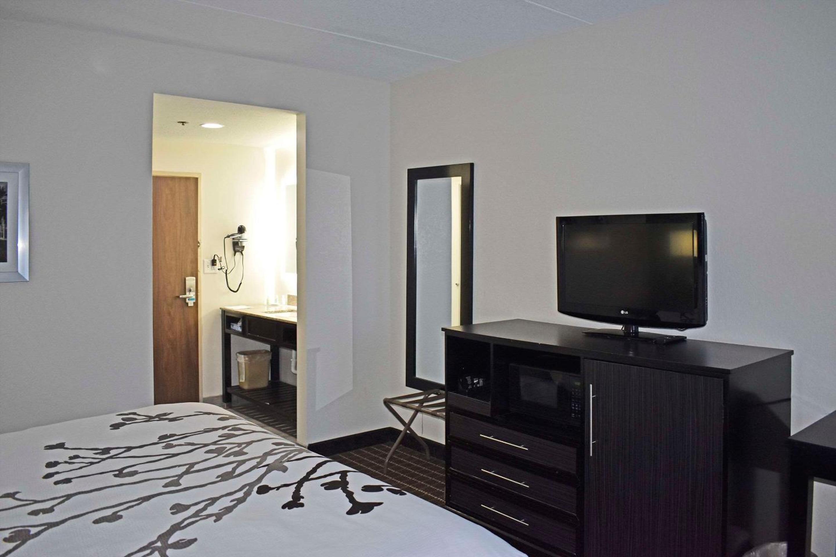 King Suite - Non-Smoking - Photo 4
