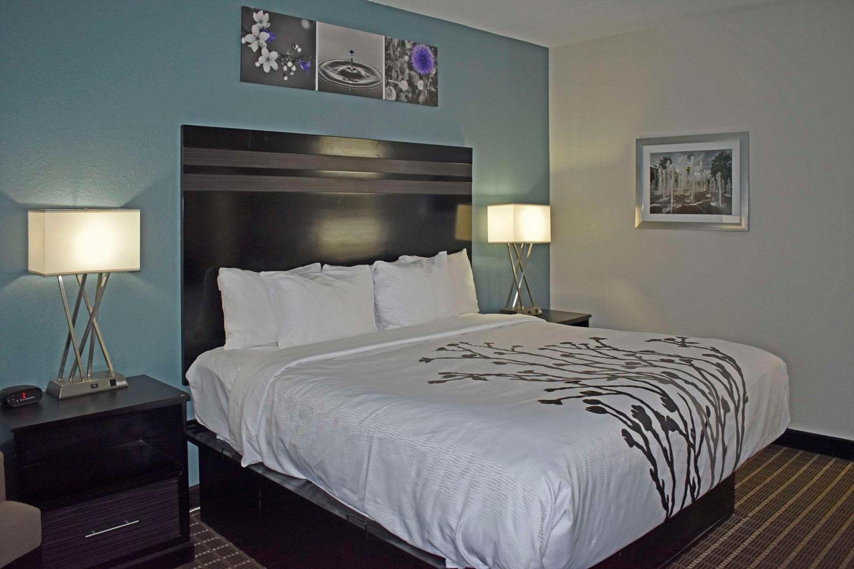 King Suite - Non-Smoking - Photo 5