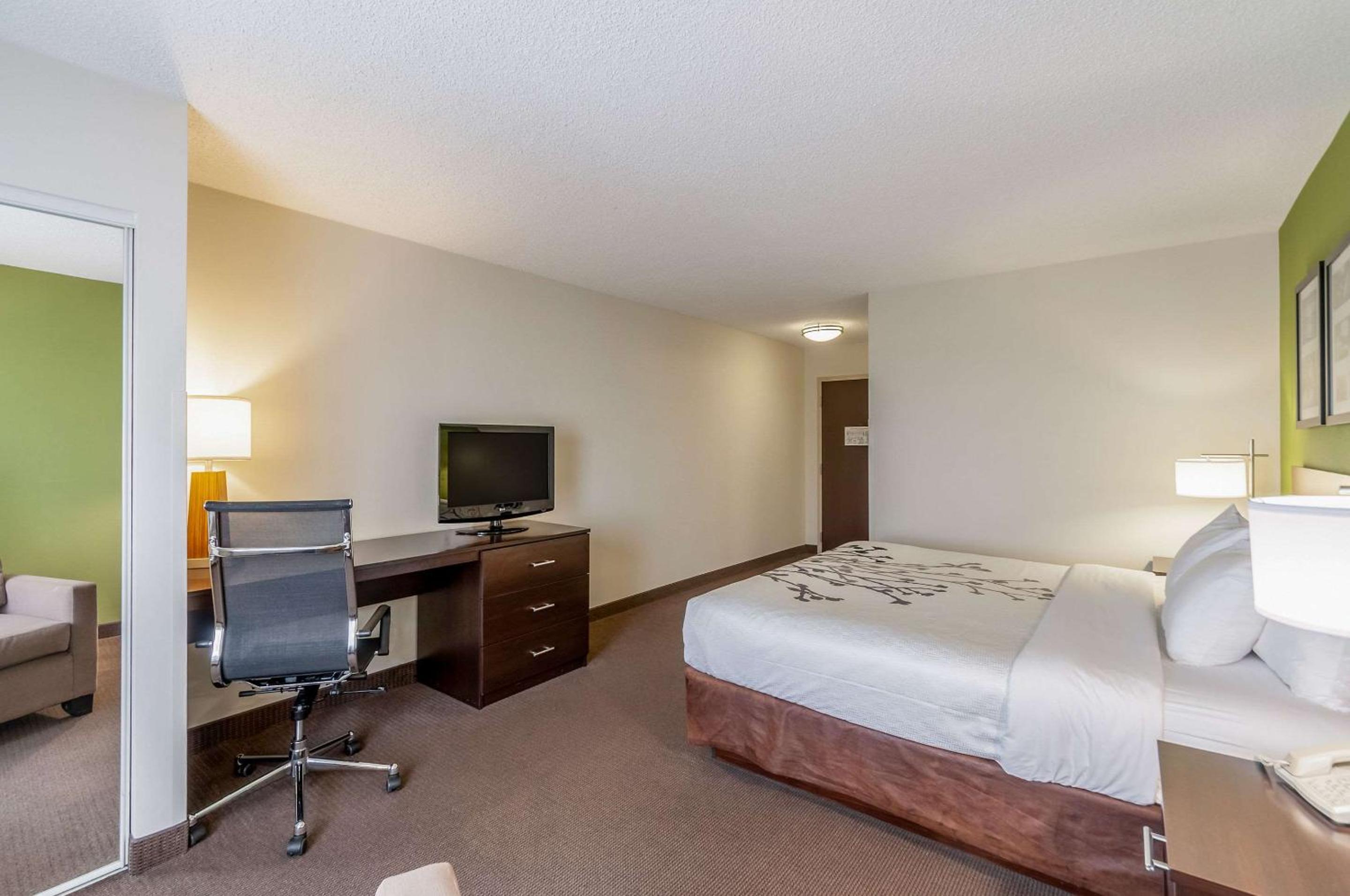 King Room - Non-Smoking - Photo 4