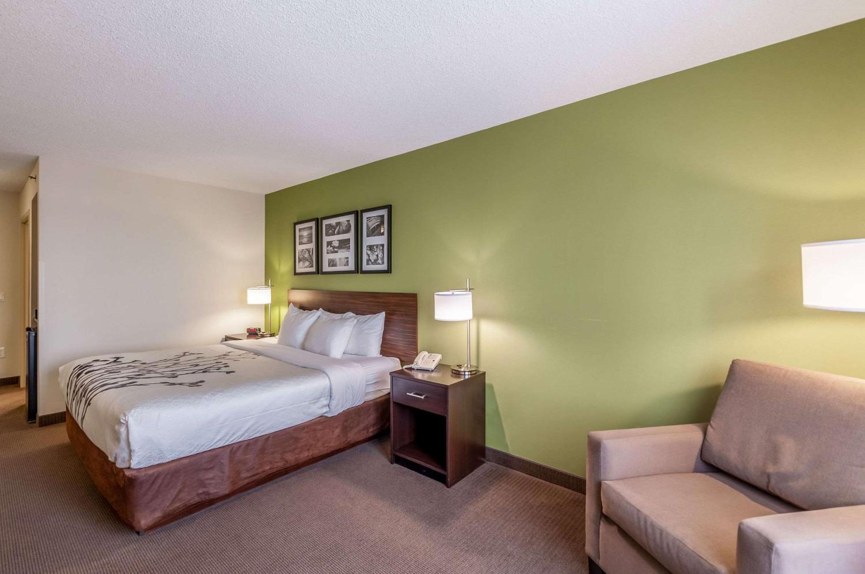 King Room - Non-Smoking - Photo 3