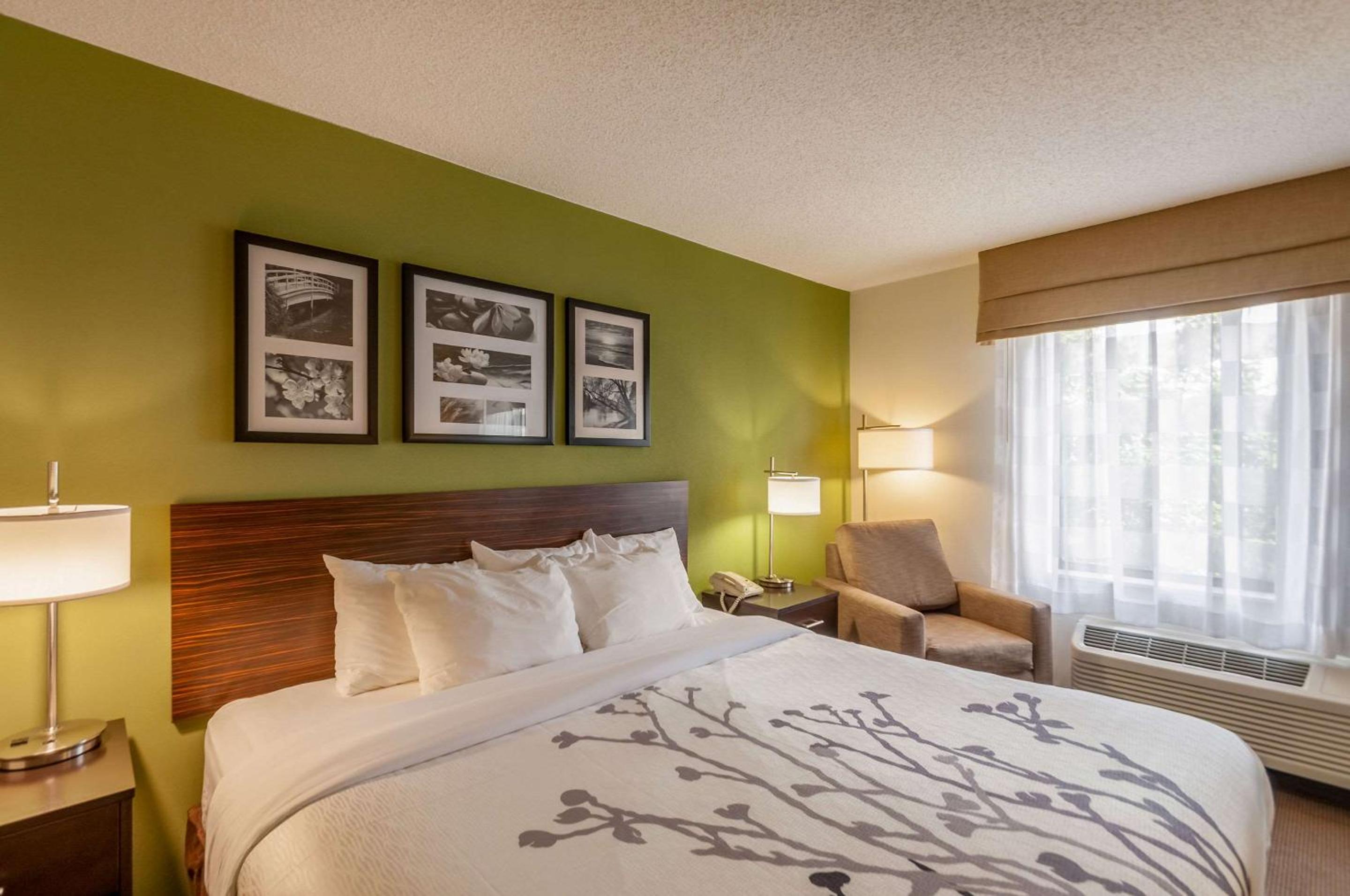 King Suite - Non-Smoking - Photo 2