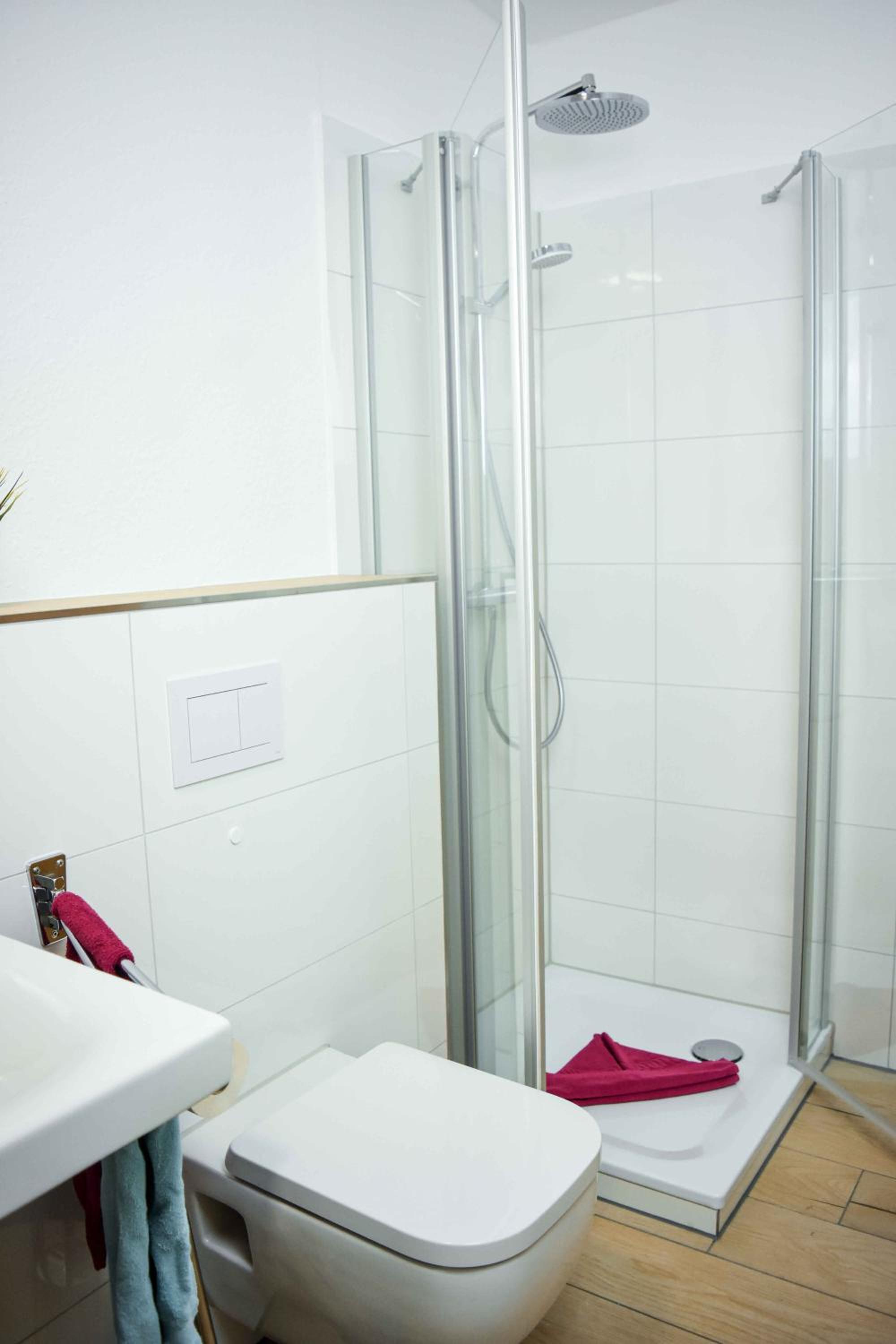 Apartment with Terrace photo 2