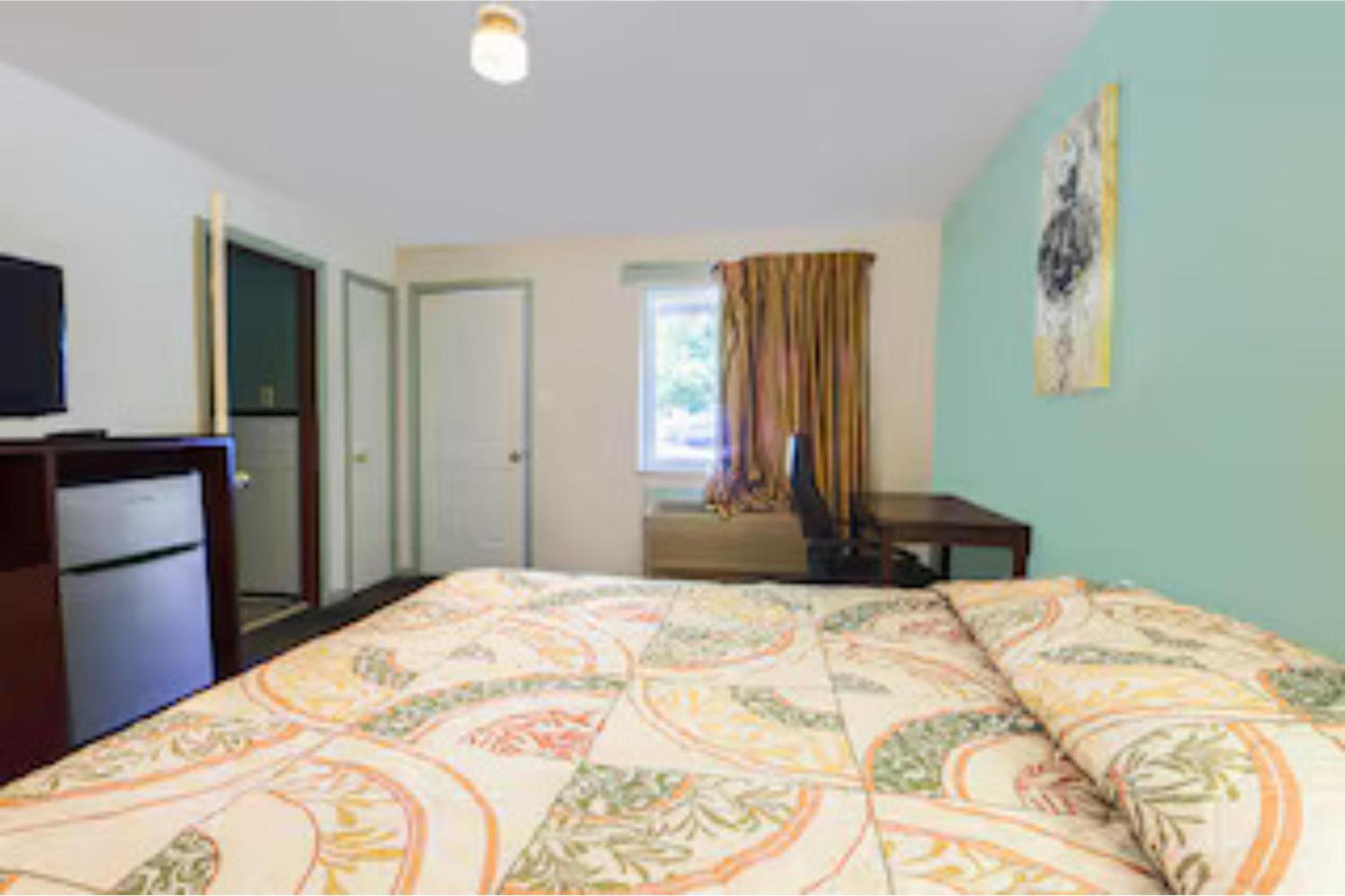 1 Bedroom Apartment photo 3