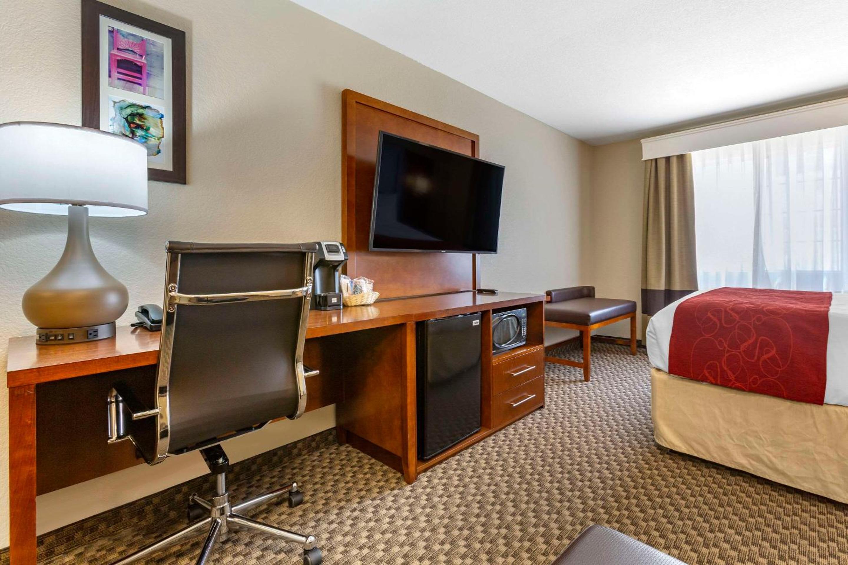 Queen Suite with Roll In Shower - Accessible/Non-Smoking