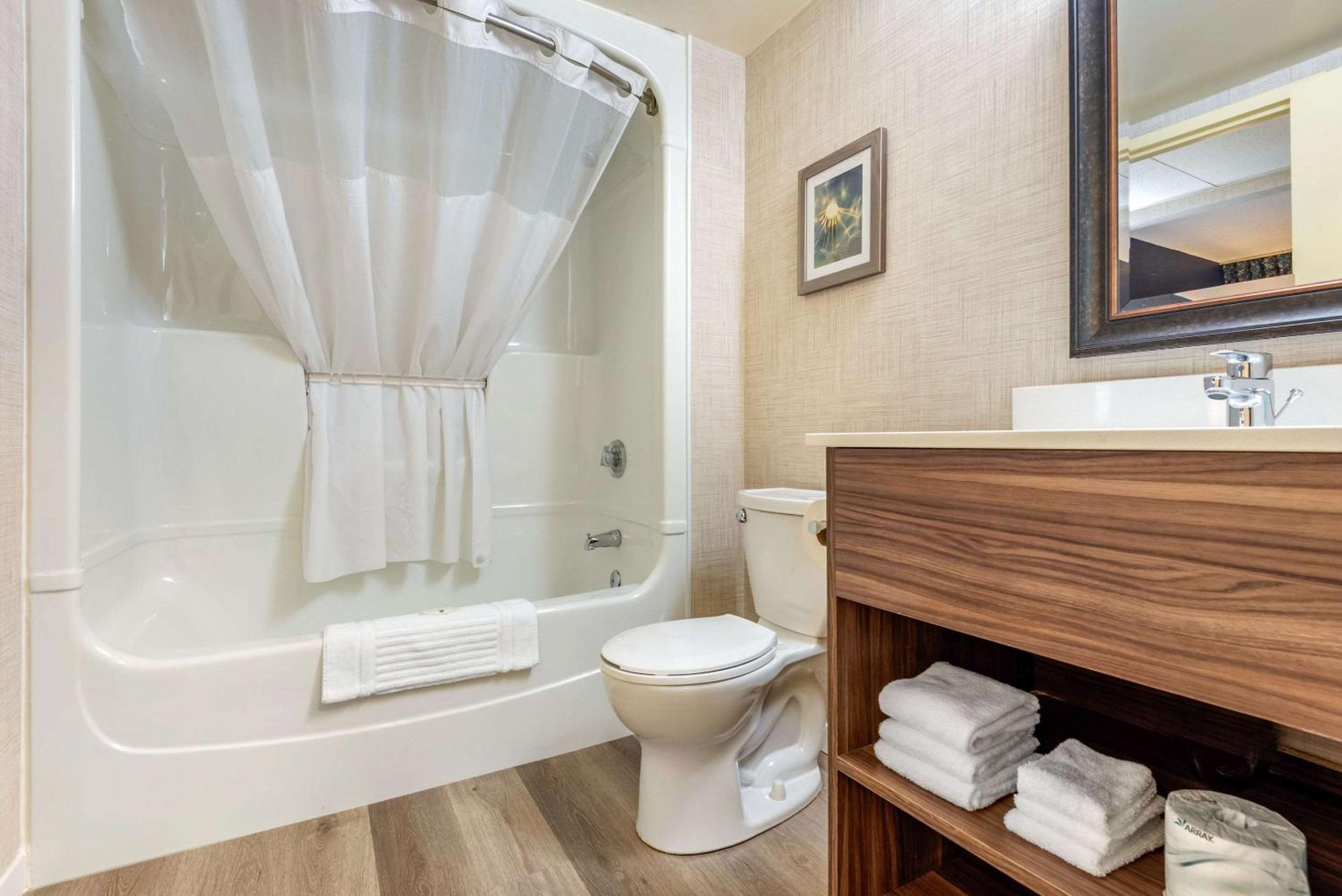 King Suite with Extra Bed - Photo 2