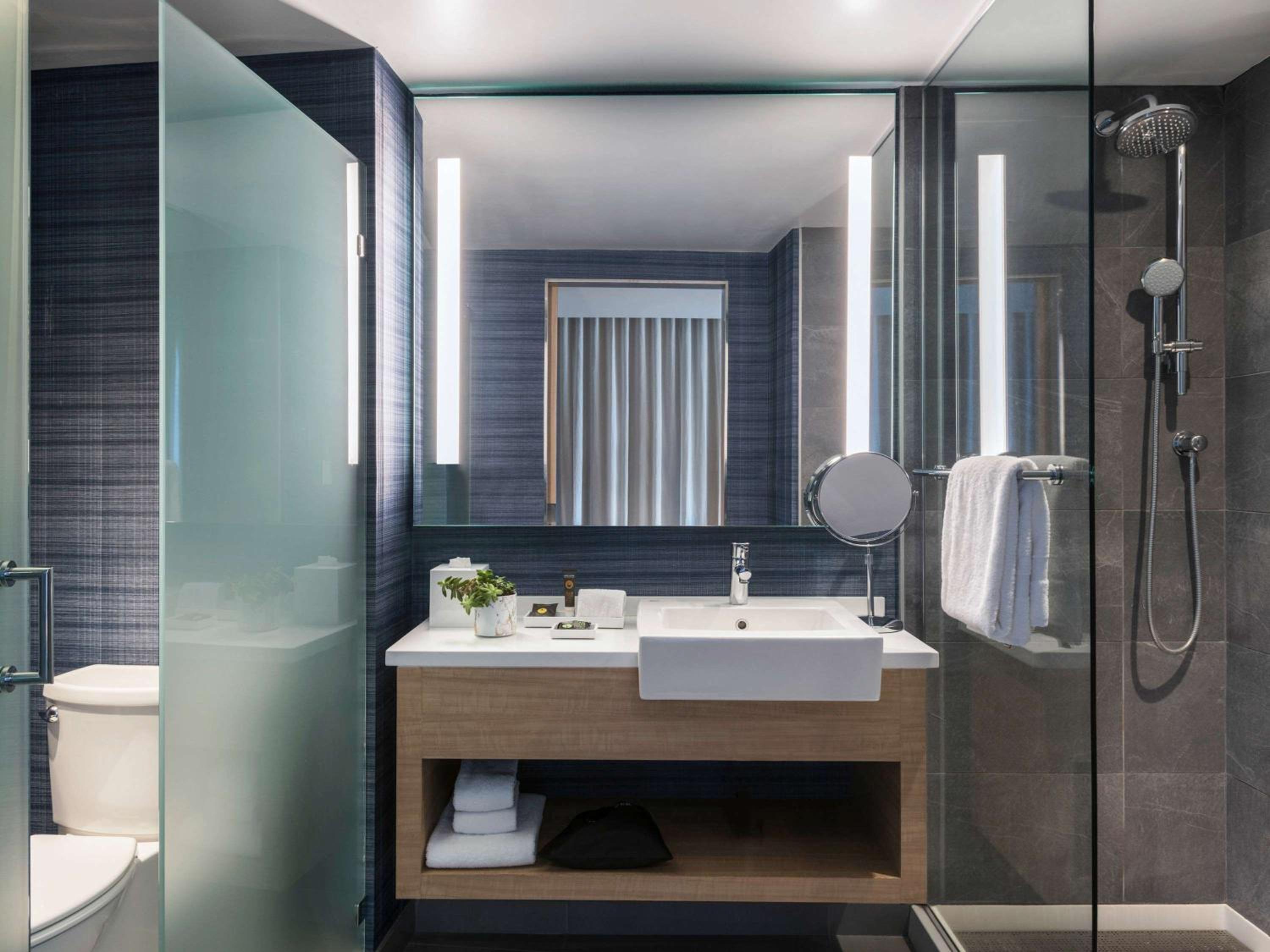 Superior King Room with City and Park View
