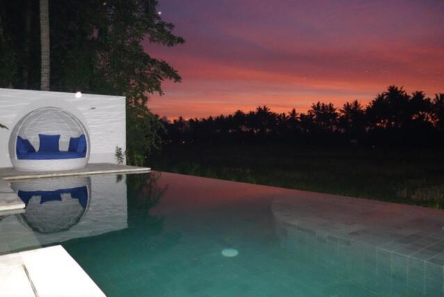 Luxury Villa with Private Pool - Photo 3