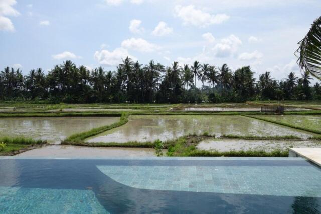 Luxury Villa with Private Pool - Photo 2