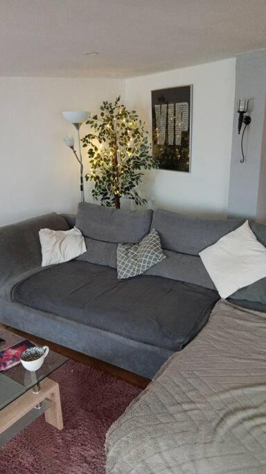 Two-Bedroom Apartment photo 3