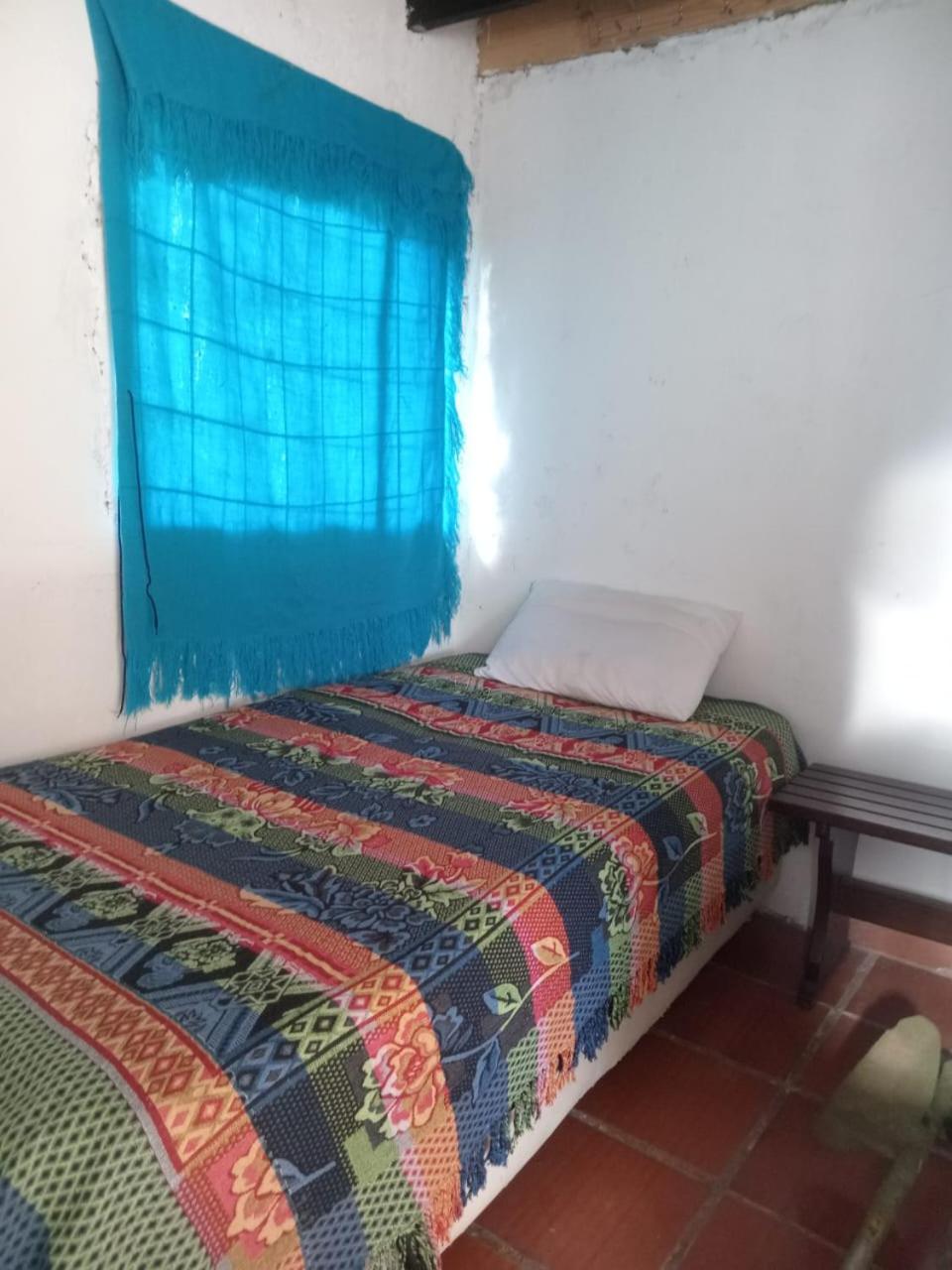 Three-Bedroom House photo 2