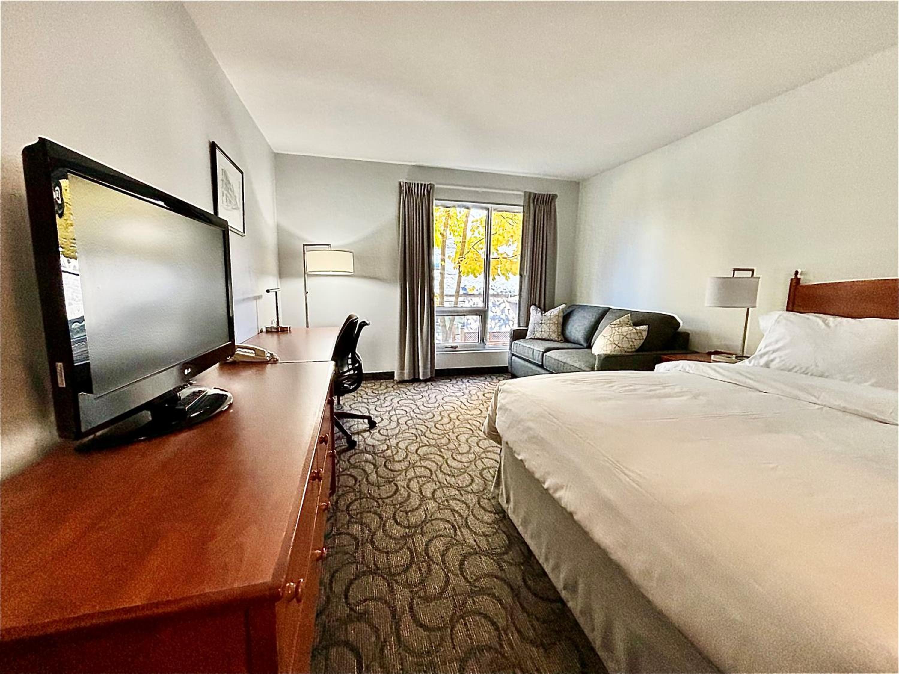 Queen Room with Sofa Bed photo 2