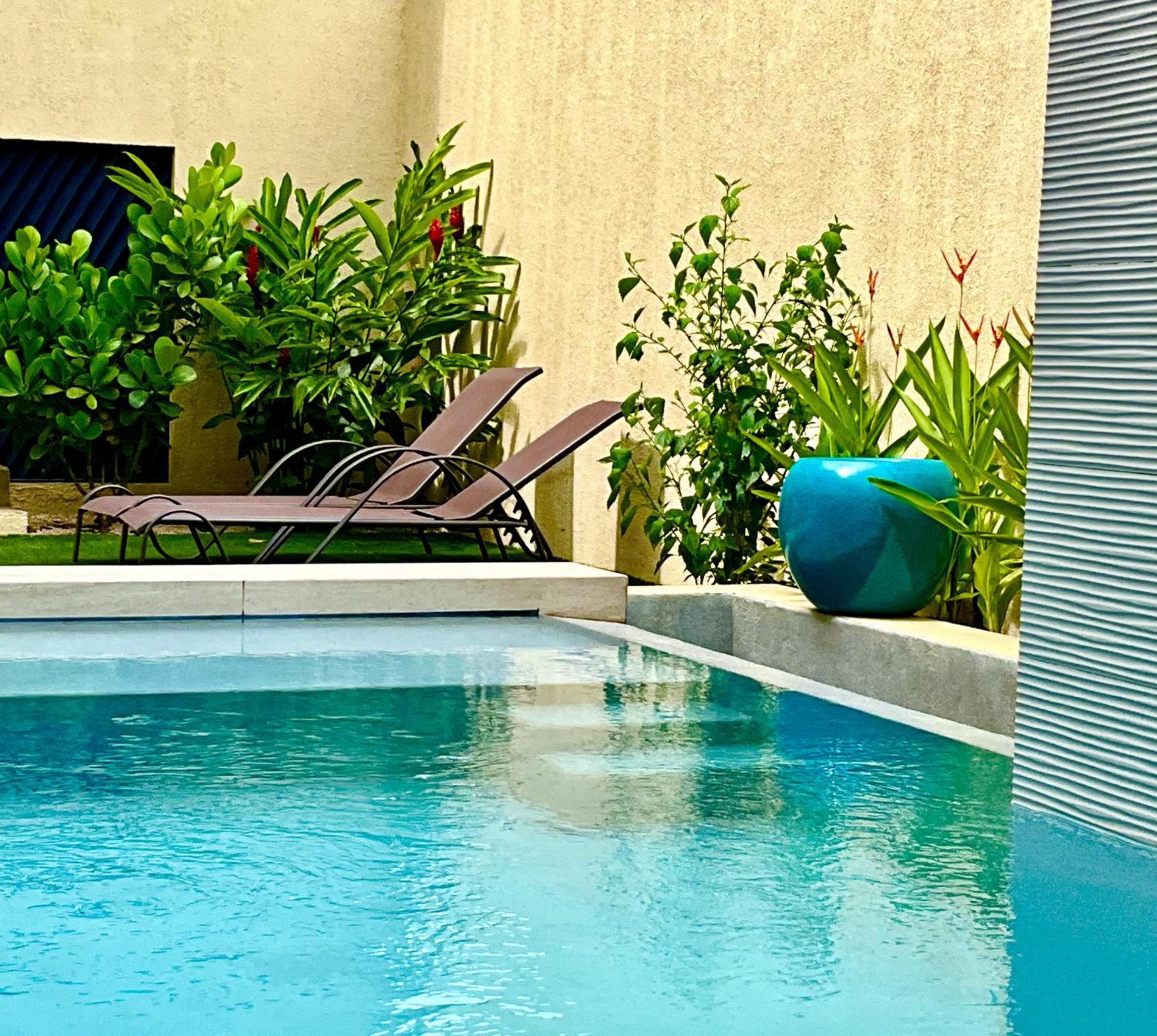 Studio with Terrace photo 1