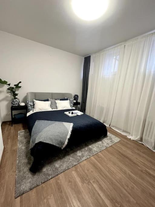 One-Bedroom Apartment photo 3