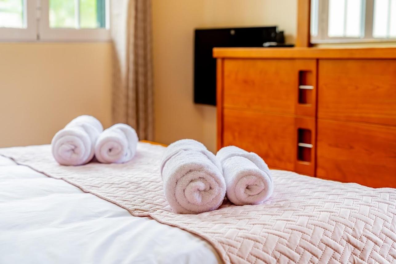 Double Room with Mountain View photo 2