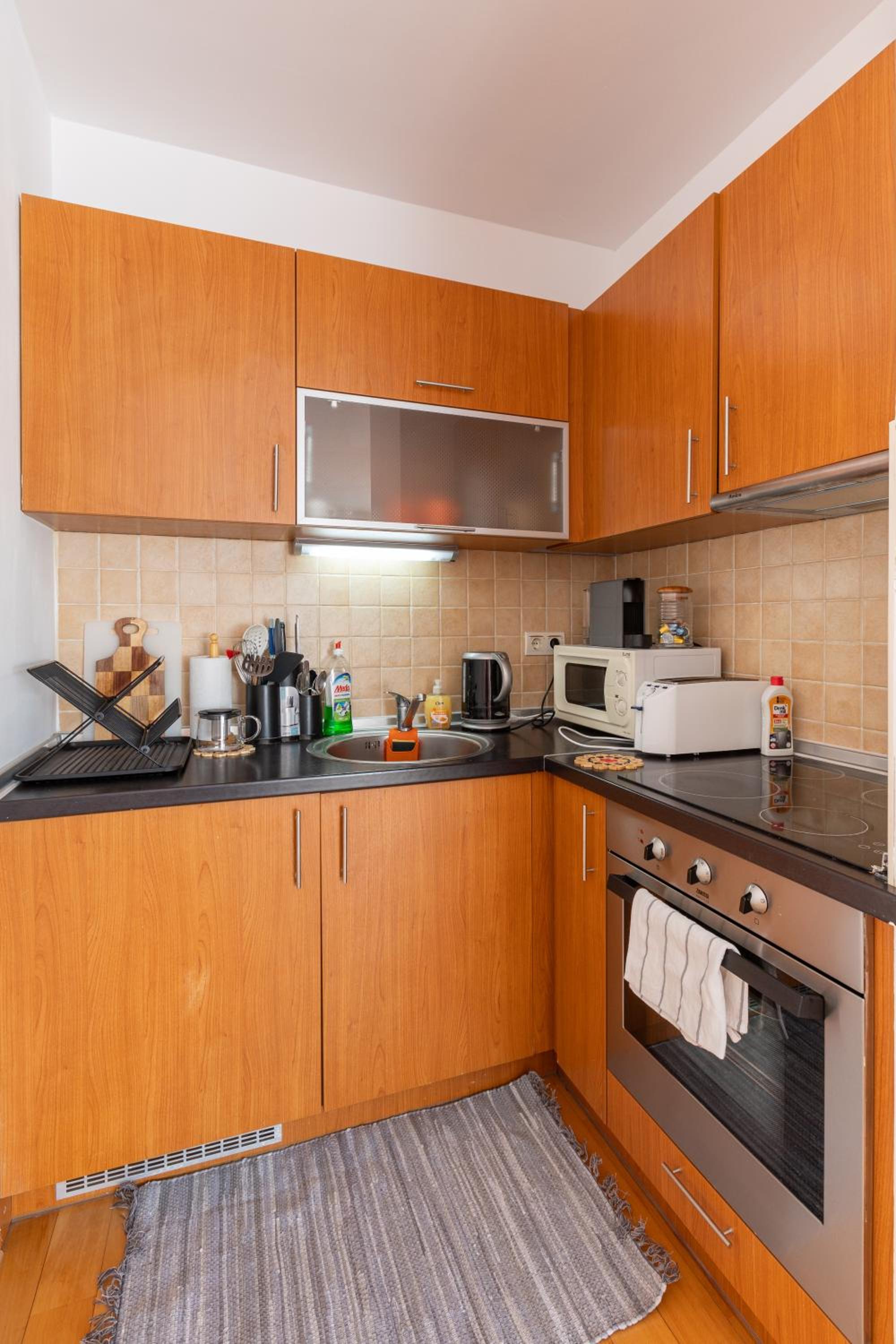 One-Bedroom Apartment photo 3