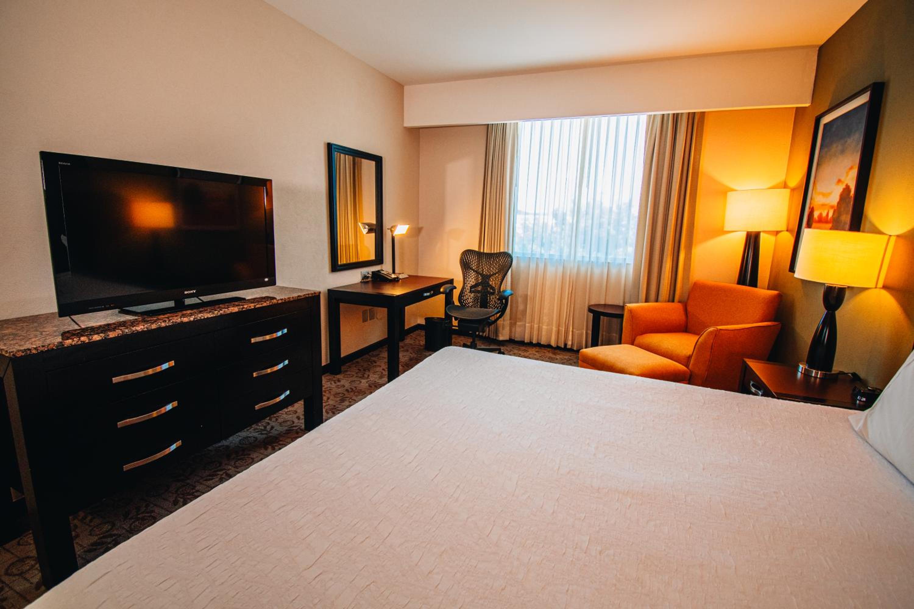 King Room - Photo 1
