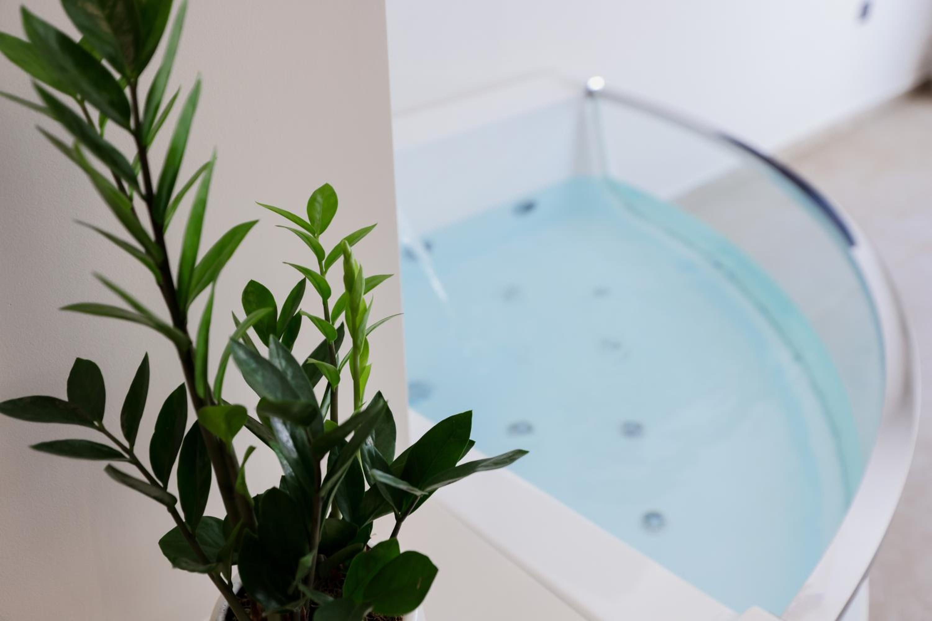 King Suite with Spa Bath photo 3