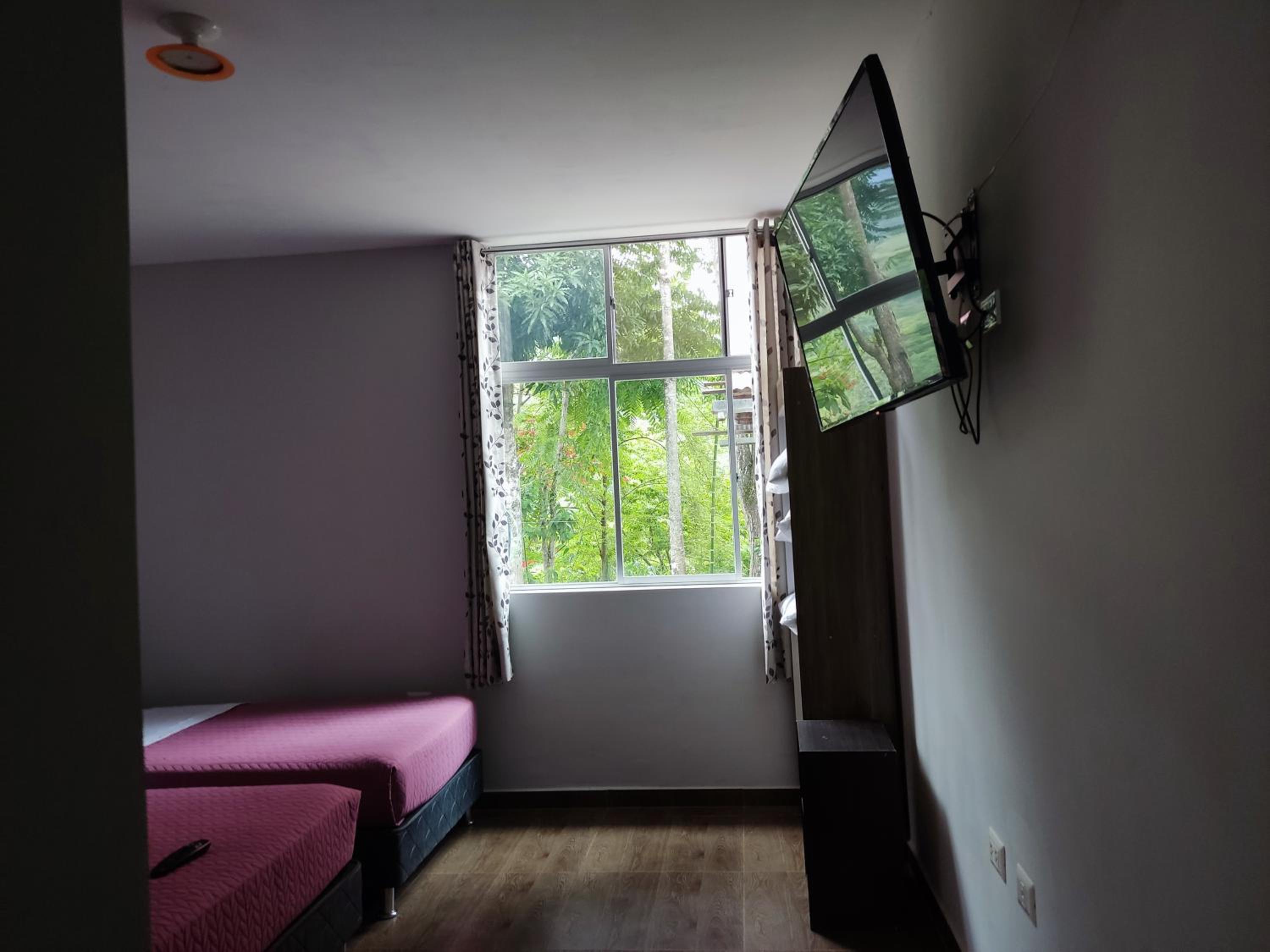 Family Room With Garden View photo 1