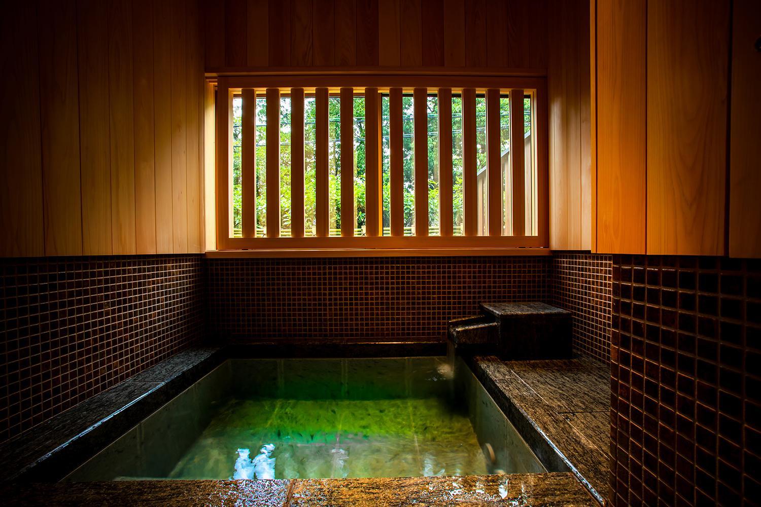 Japanese-Western Style Room -YAMAZAKURA- Non-Smoking (1st Floor) - Photo 3