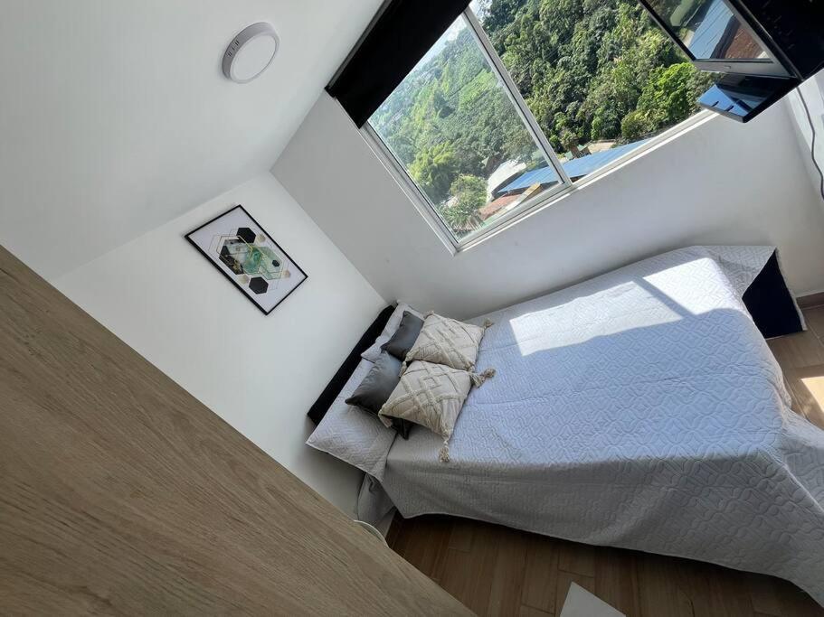 Two-Bedroom Apartment photo 3