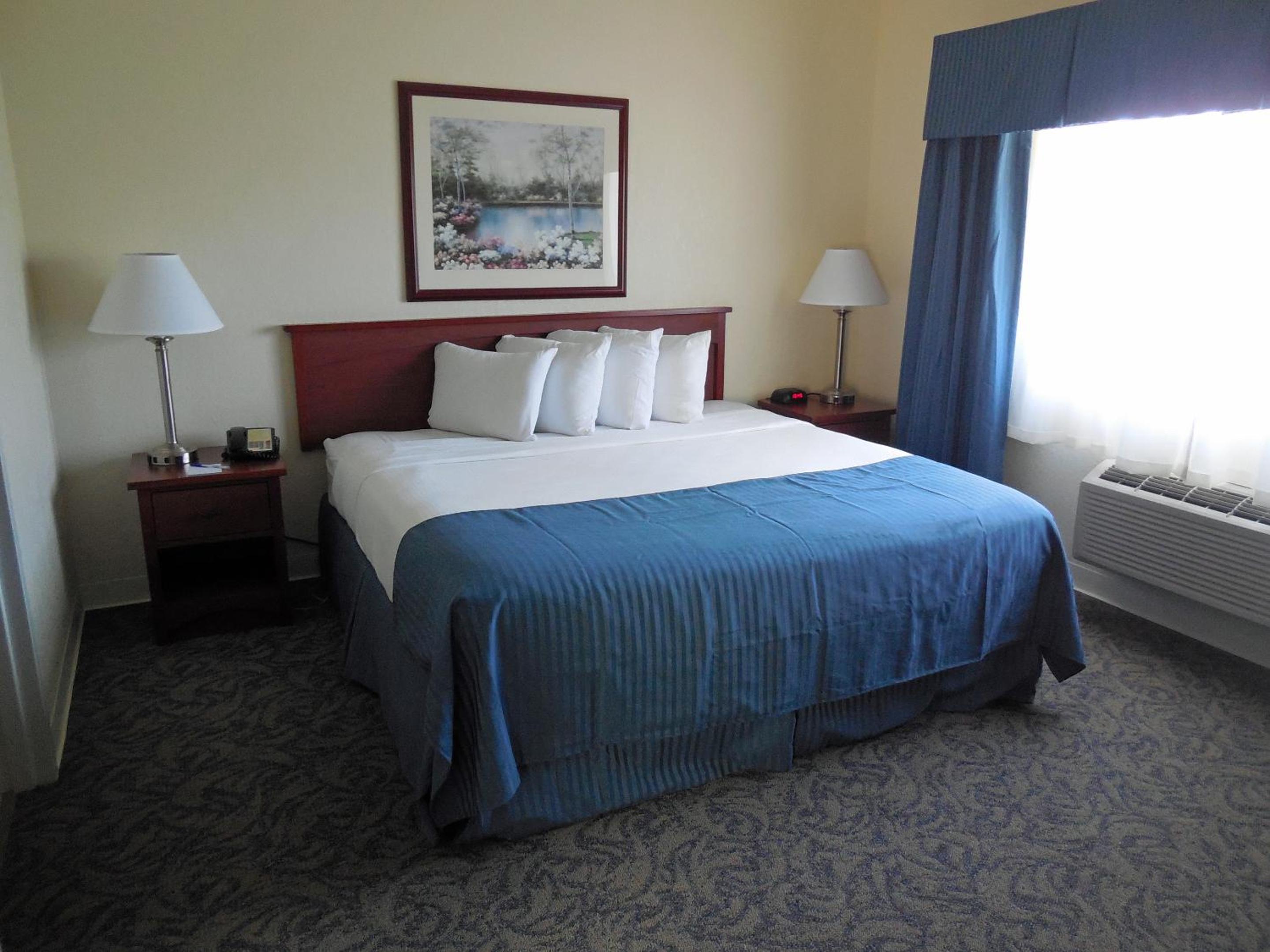 King Suite - Non-Smoking - Photo 4