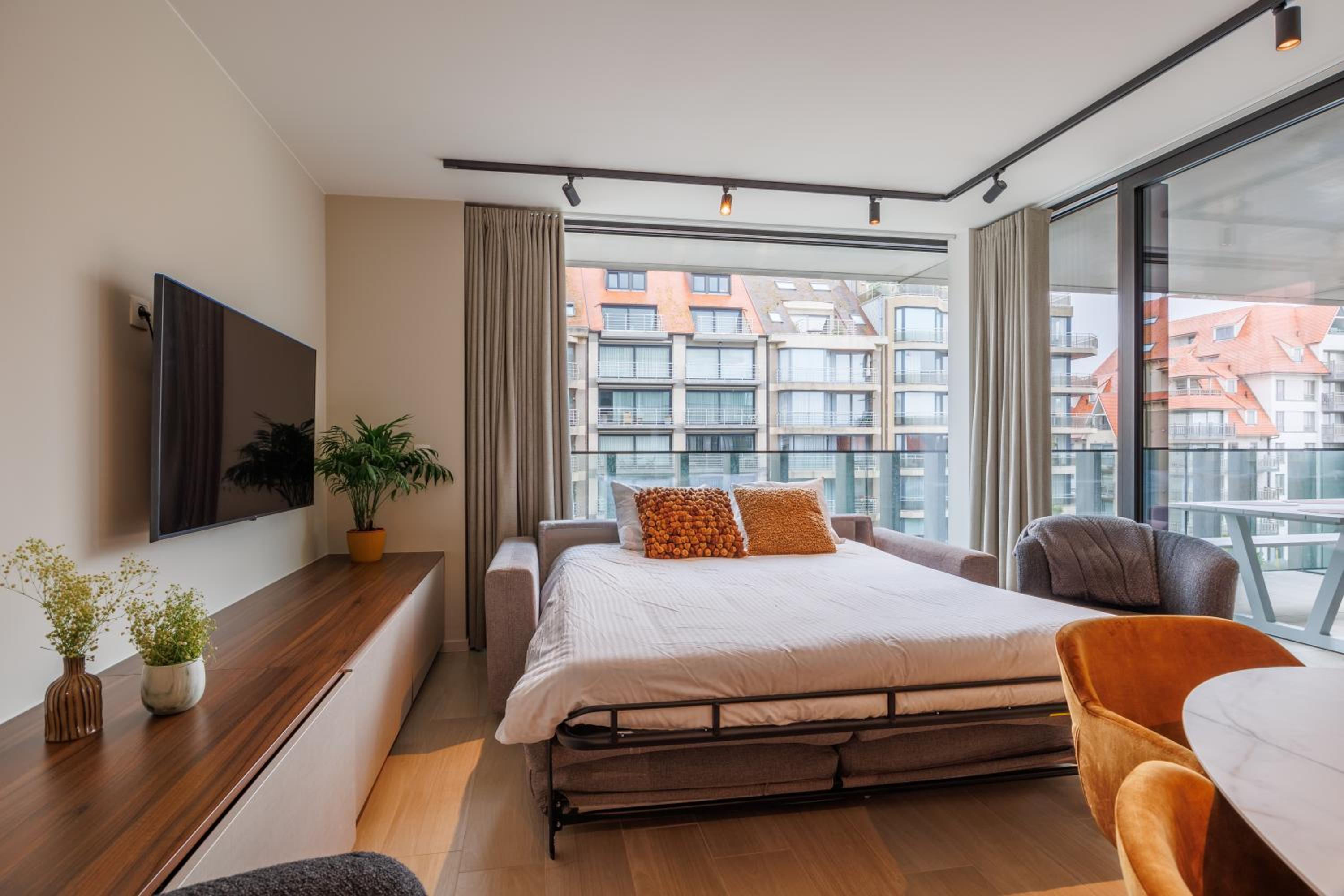 Deluxe Apartment