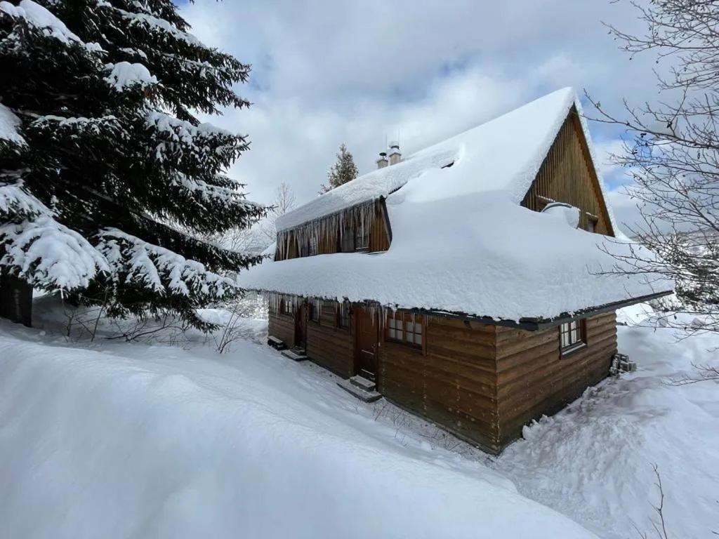 Chalet photo 1