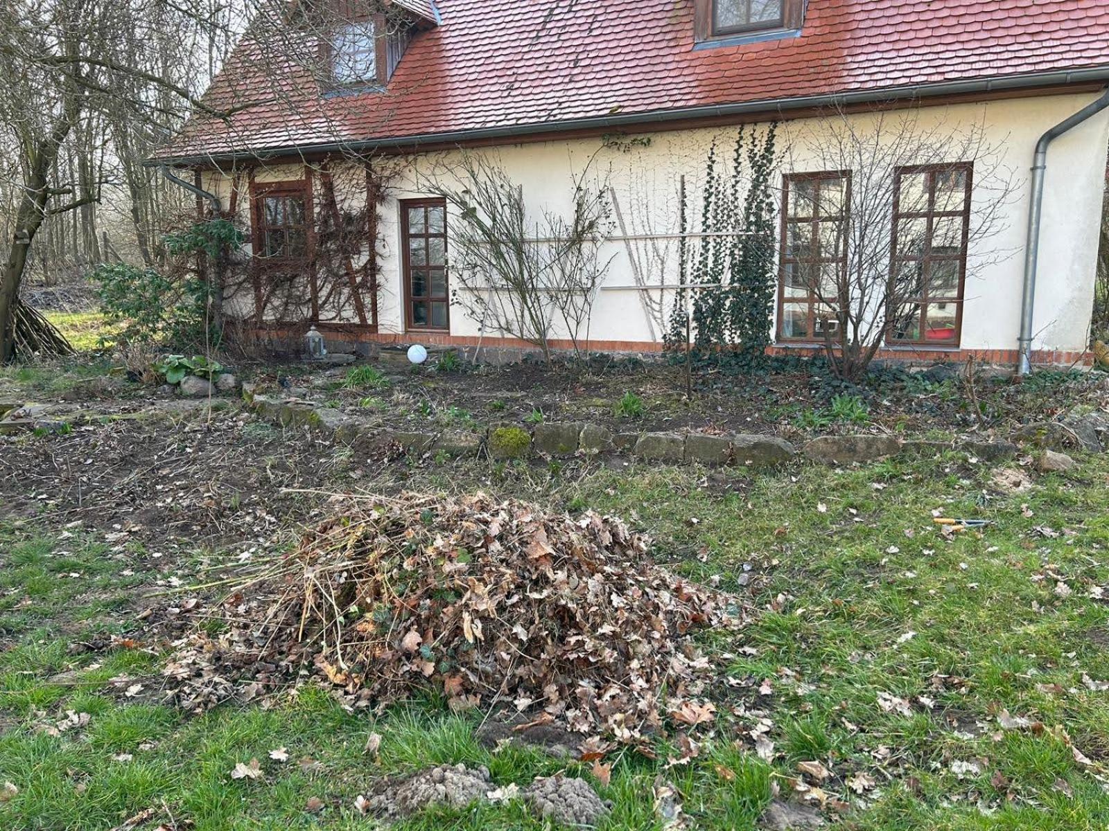 One-Bedroom House photo 3