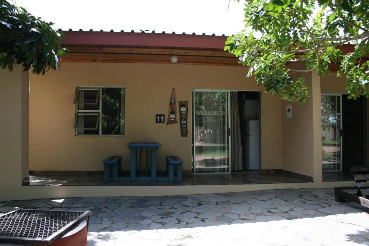 Family Room photo 3