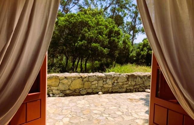 Double Room with Terrace photo 2