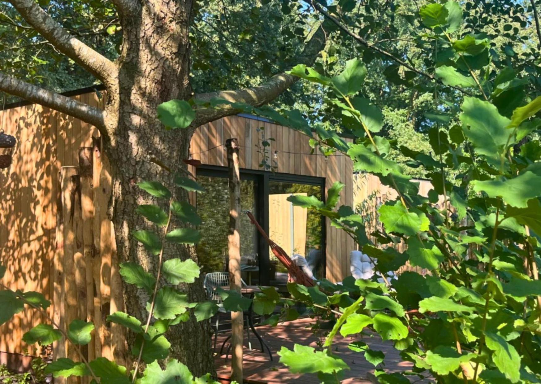One-Bedroom House photo 1