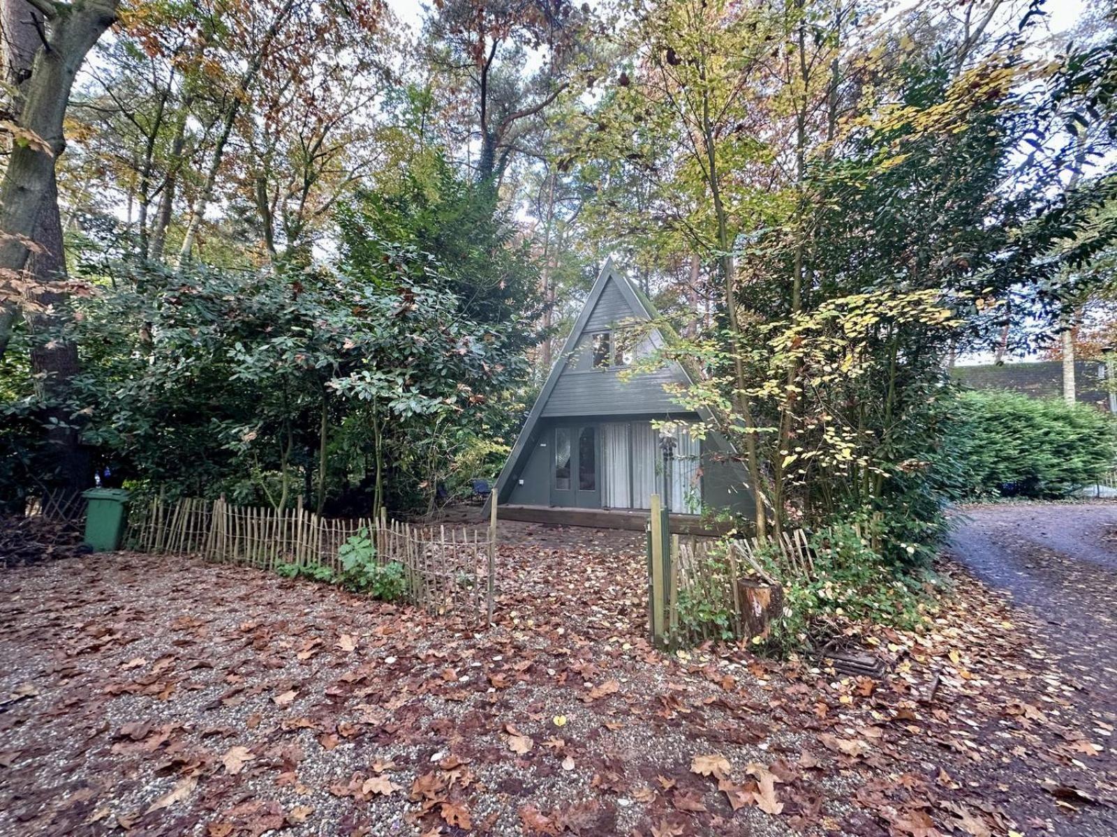 One-Bedroom House photo 3