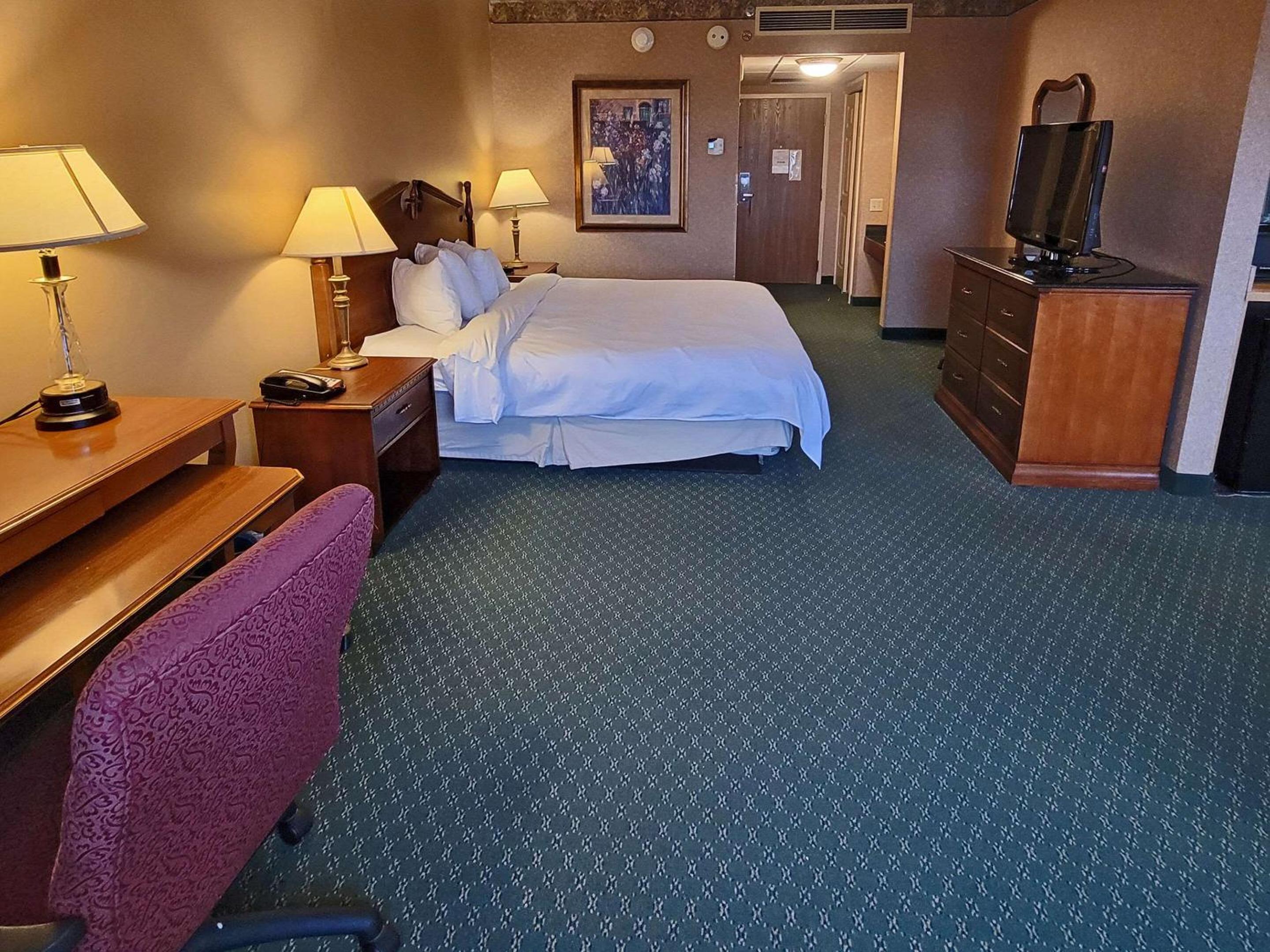 One-Bedroom King Suite with Sofa Bed - Non-Smoking - Photo 1