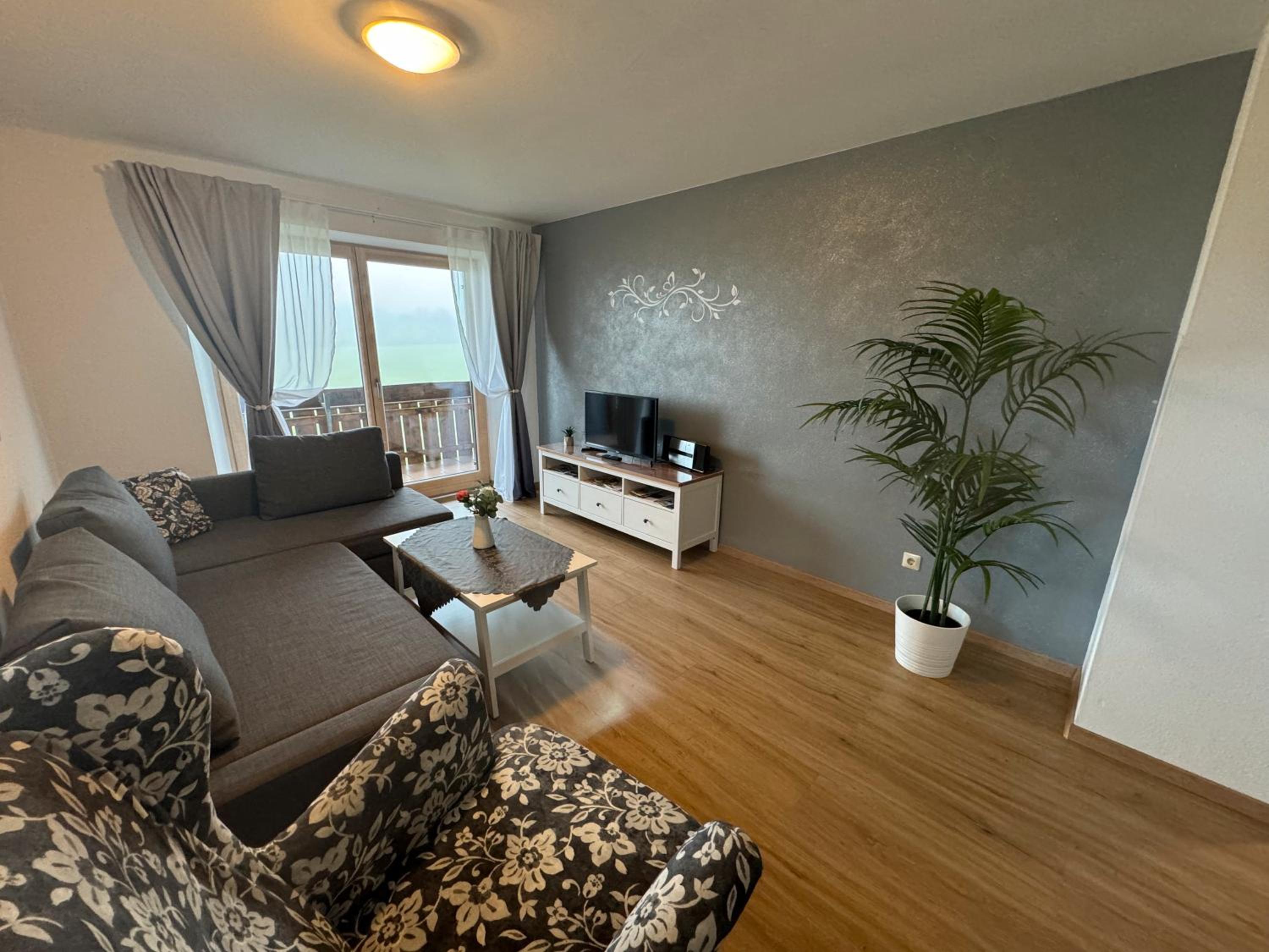 Superior One-Bedroom Apartment with Balcony photo 2