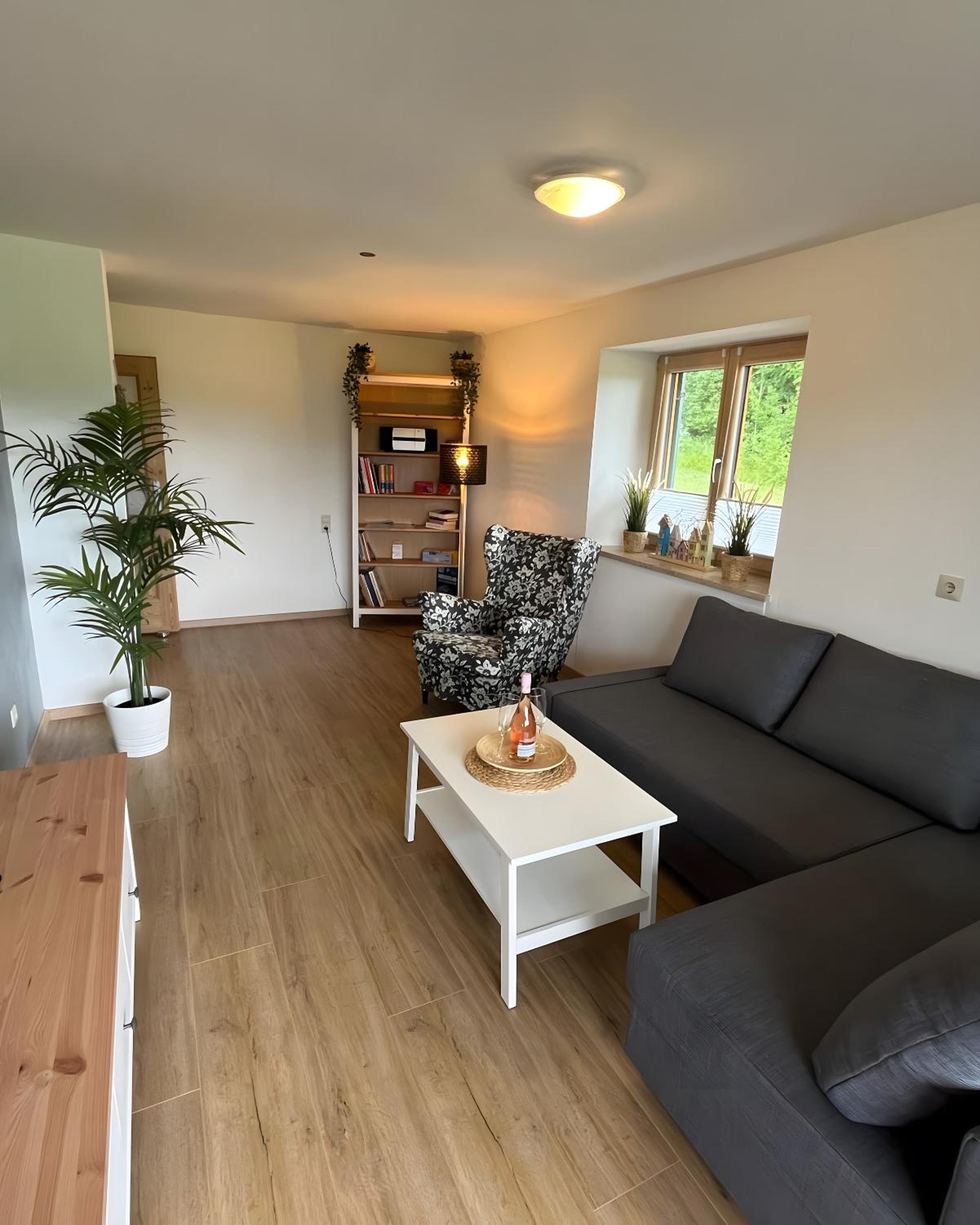 Superior One-Bedroom Apartment with Balcony photo 1