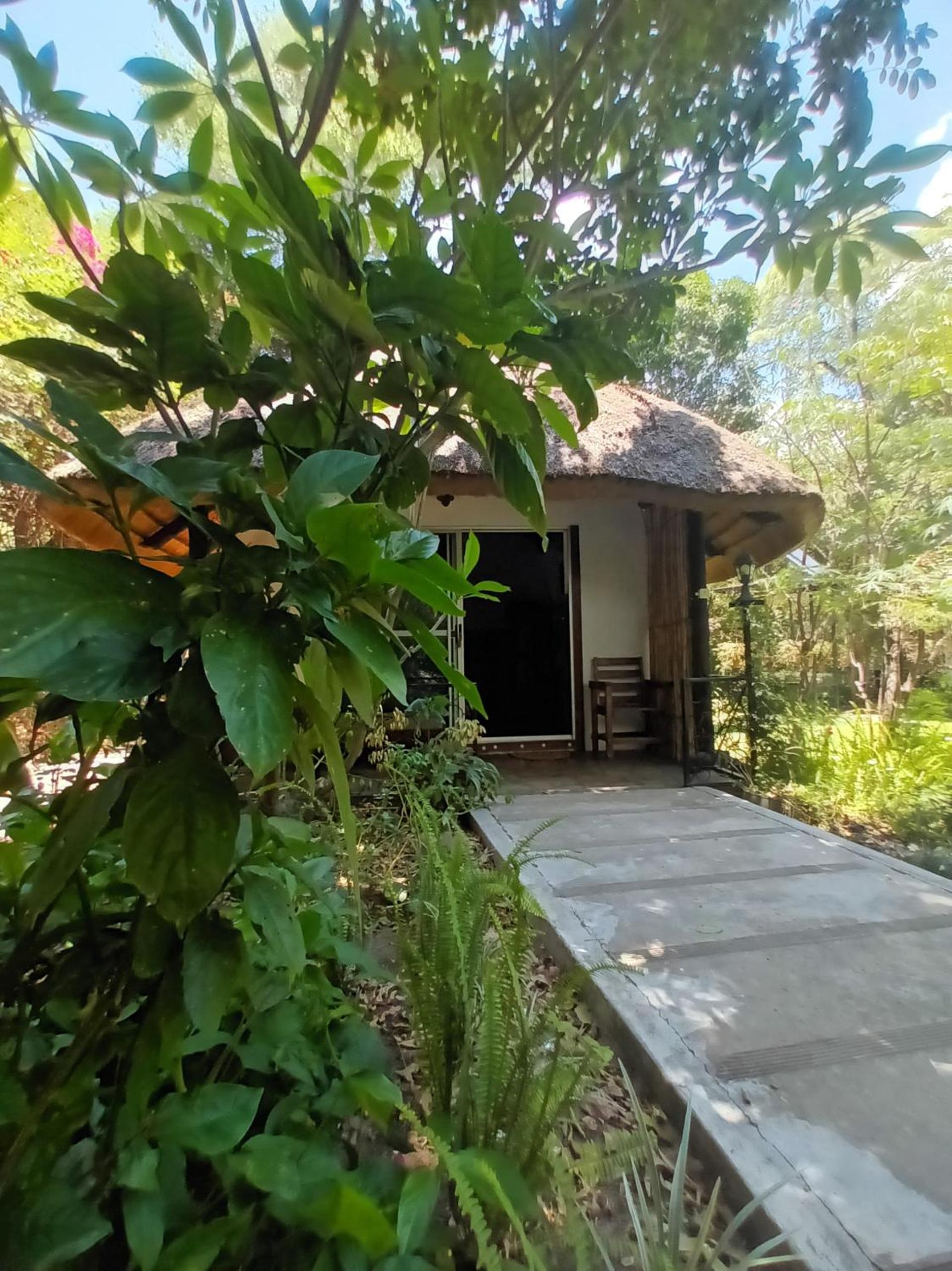Comfort Chalet photo 1