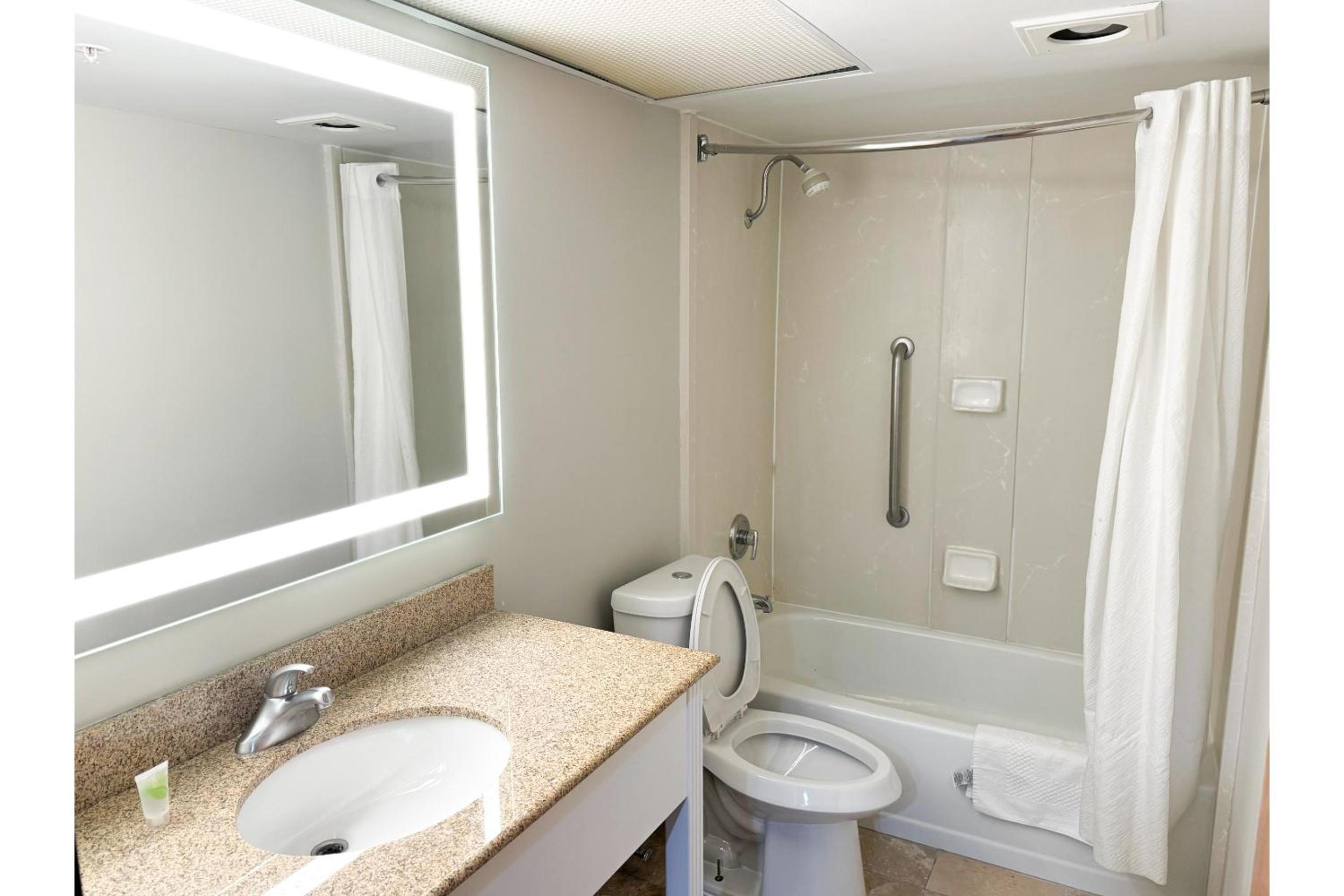 Executive Suite with Kitchenette - Photo 7