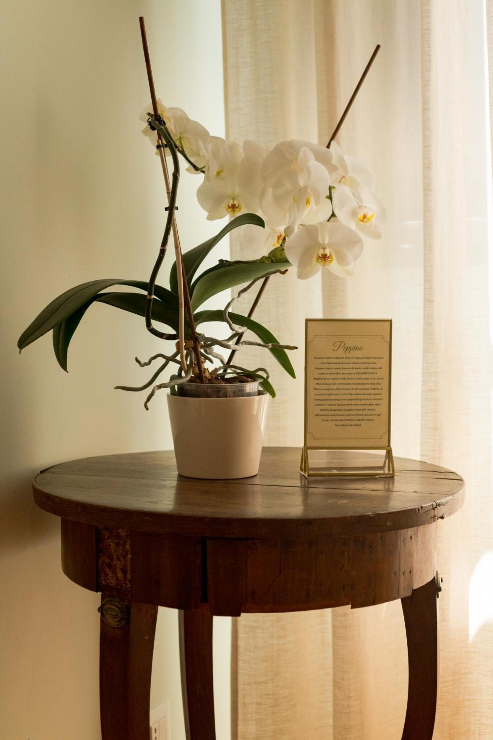 Deluxe Family Room photo 3