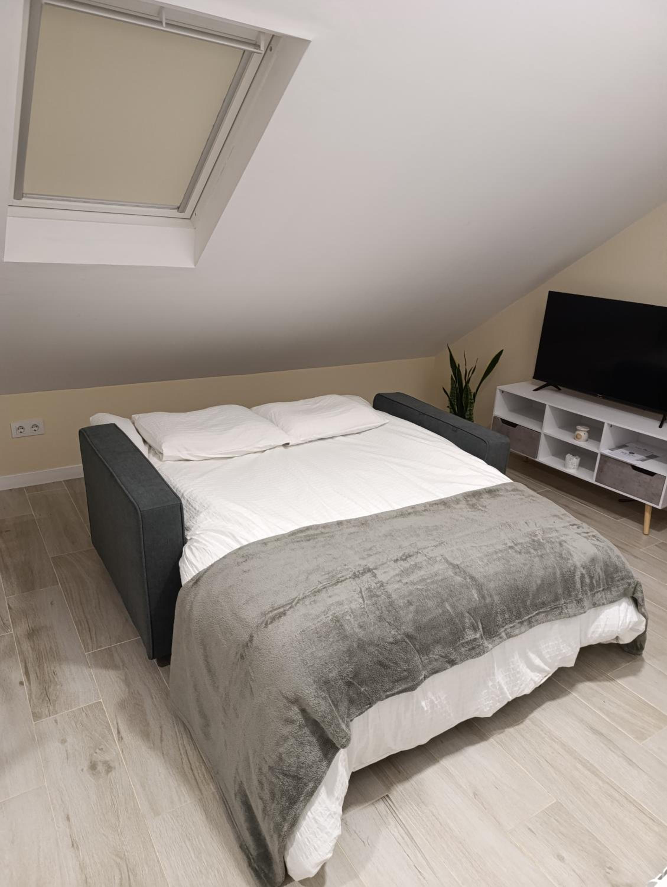 One-Bedroom Apartment photo 2
