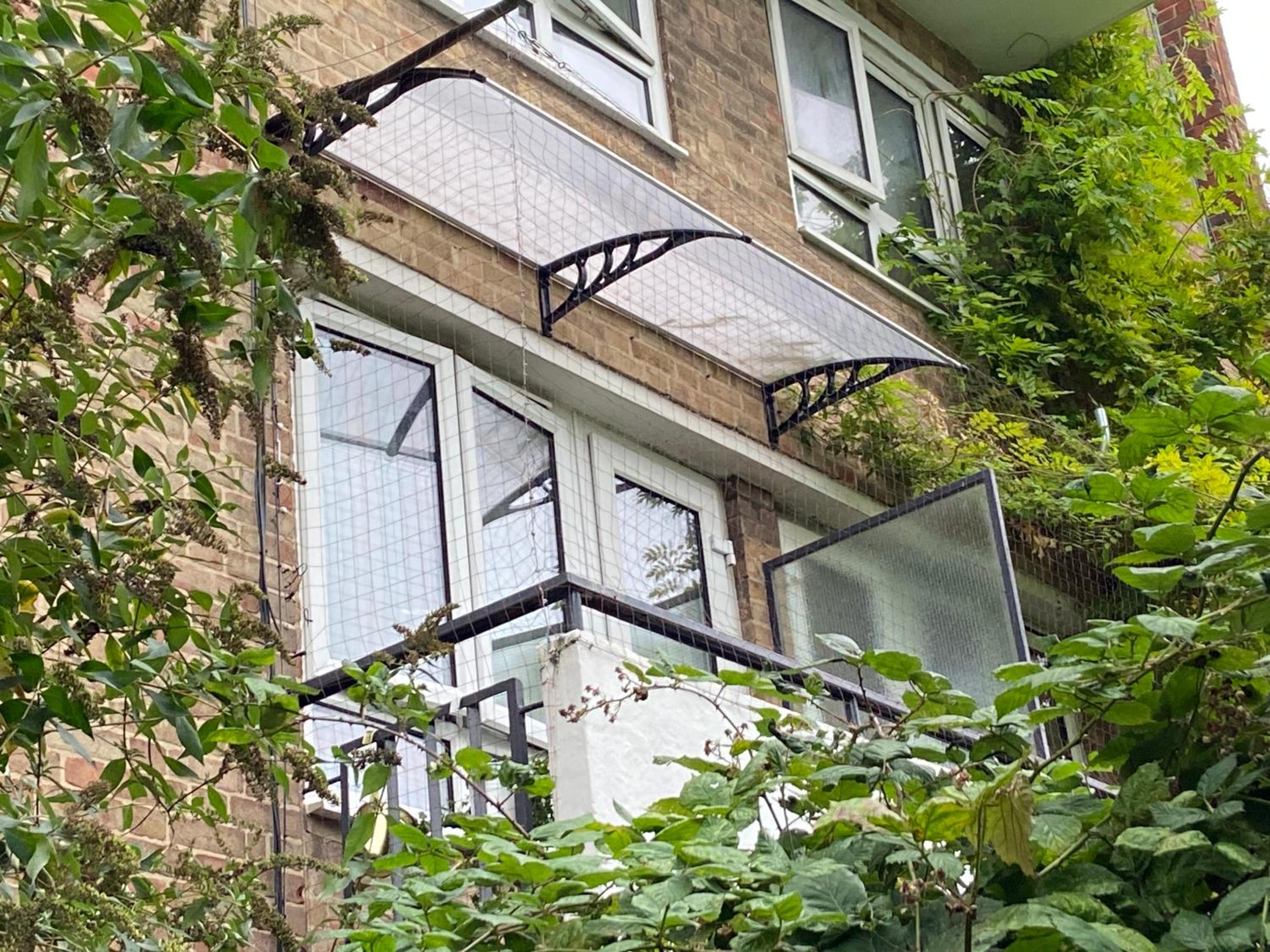 Studio with Balcony photo 2