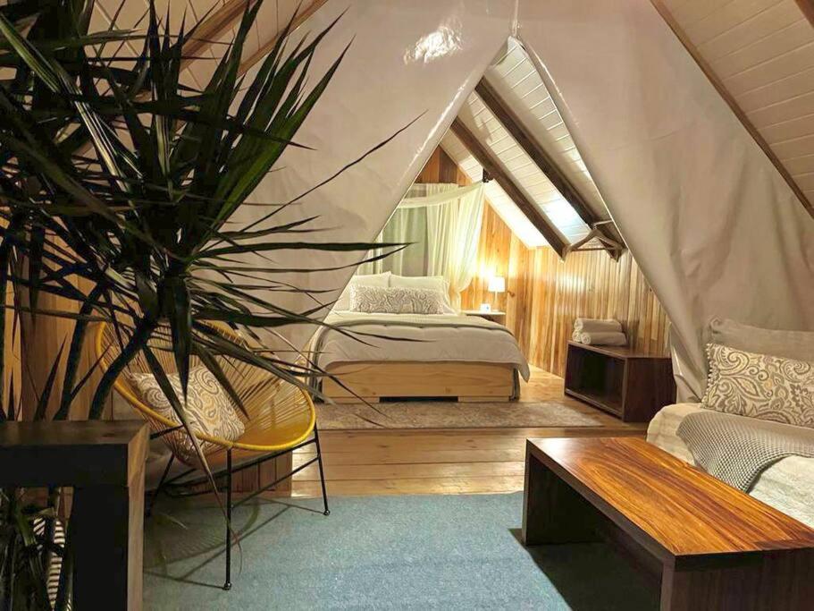 Two-Bedroom House photo 3
