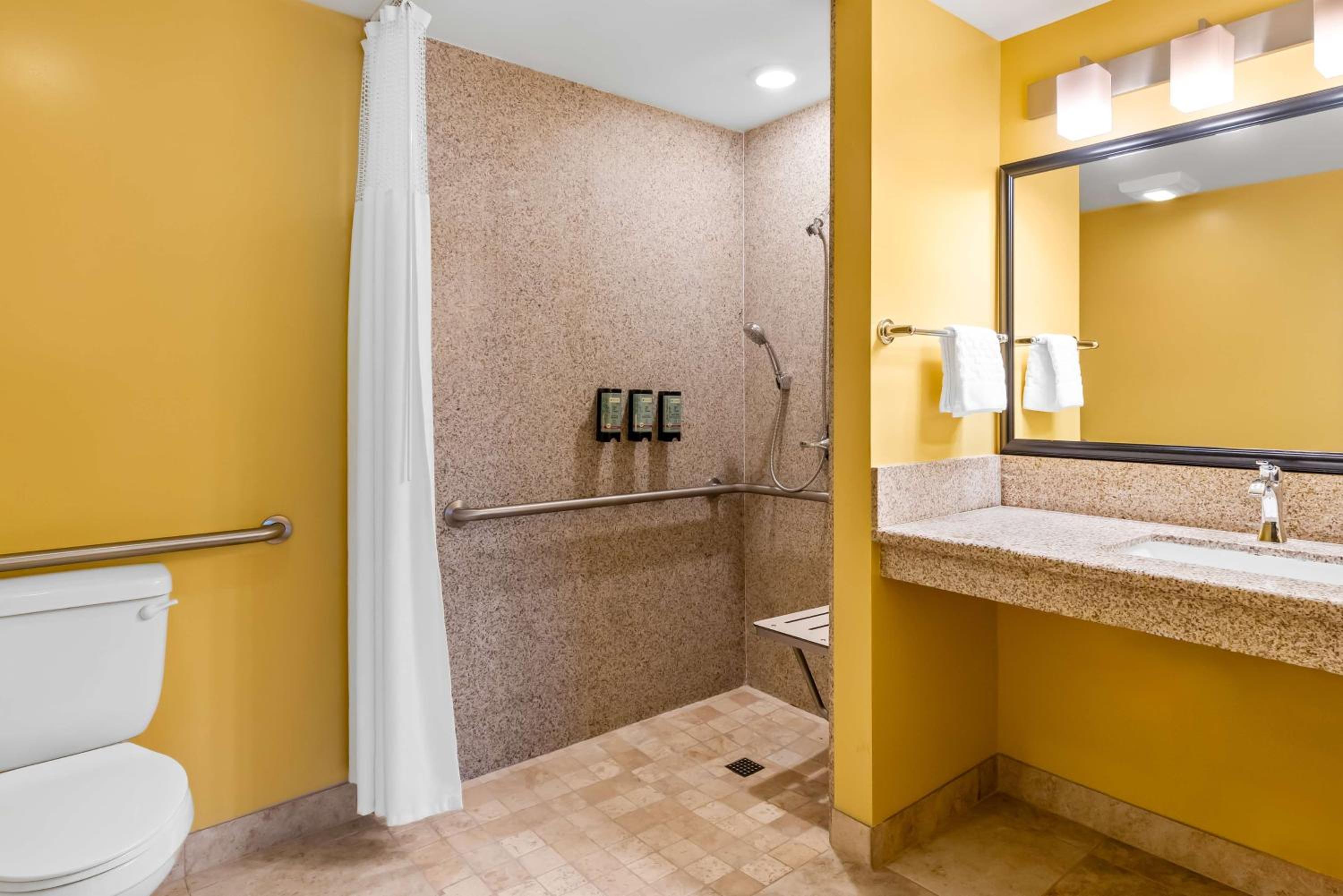 King Room with Roll-in Shower - Disability Access/Non-Smoking - Photo 4