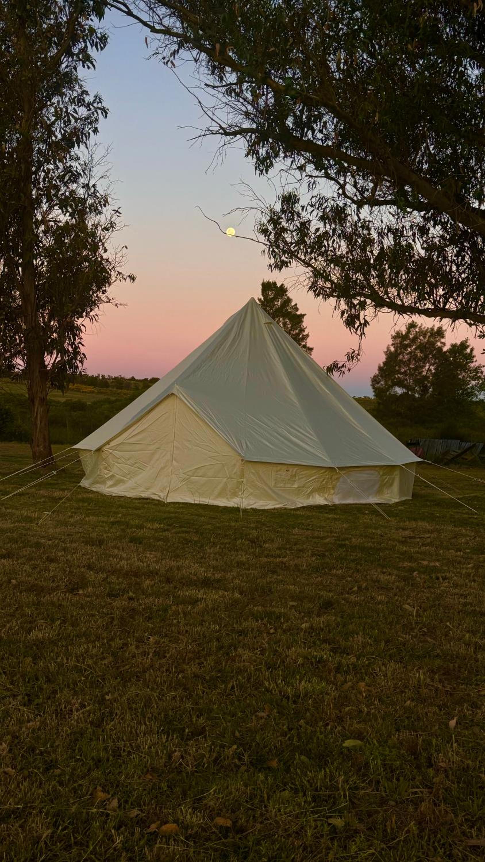 Tent photo 3