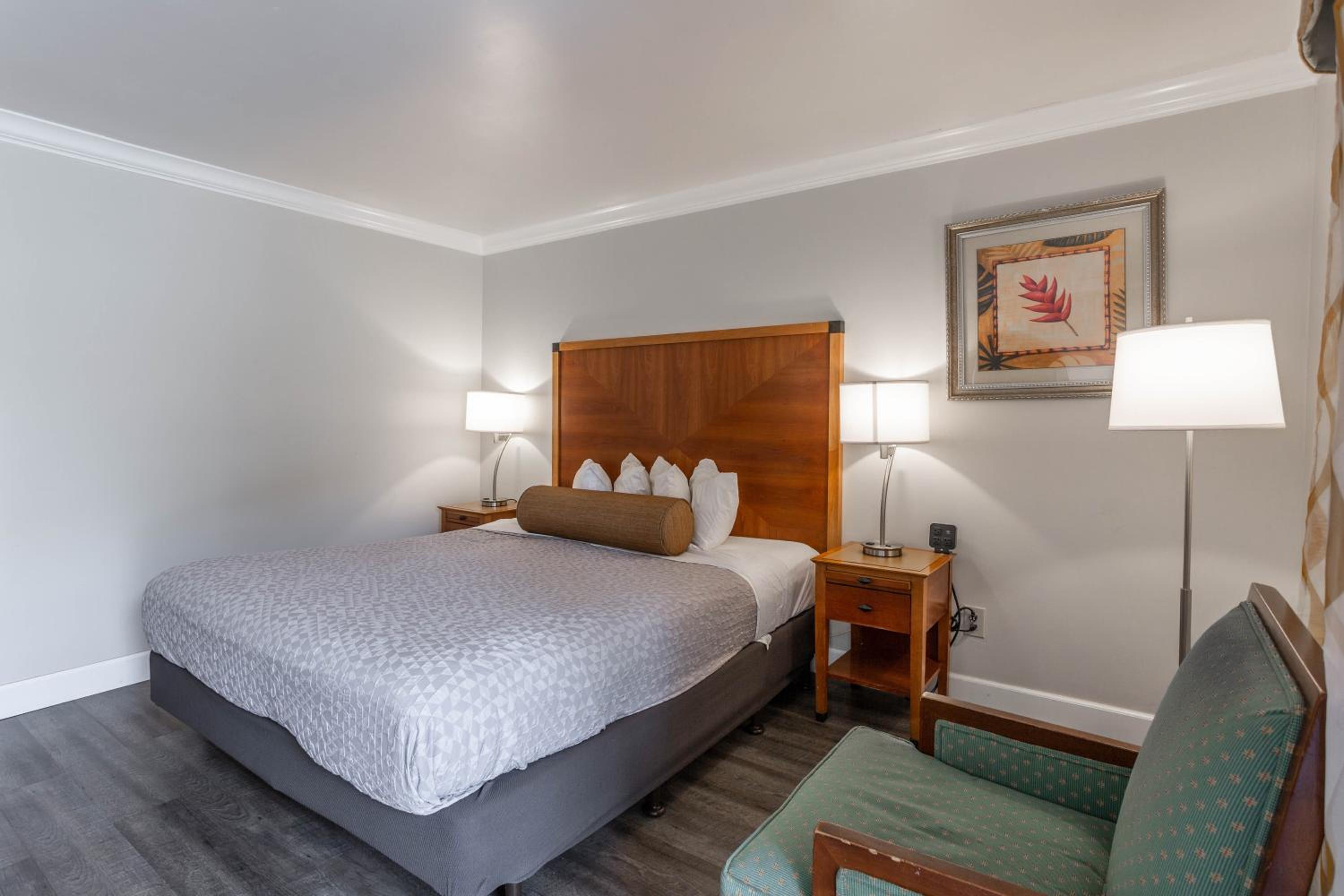 King Room - Non-Smoking - Photo 3