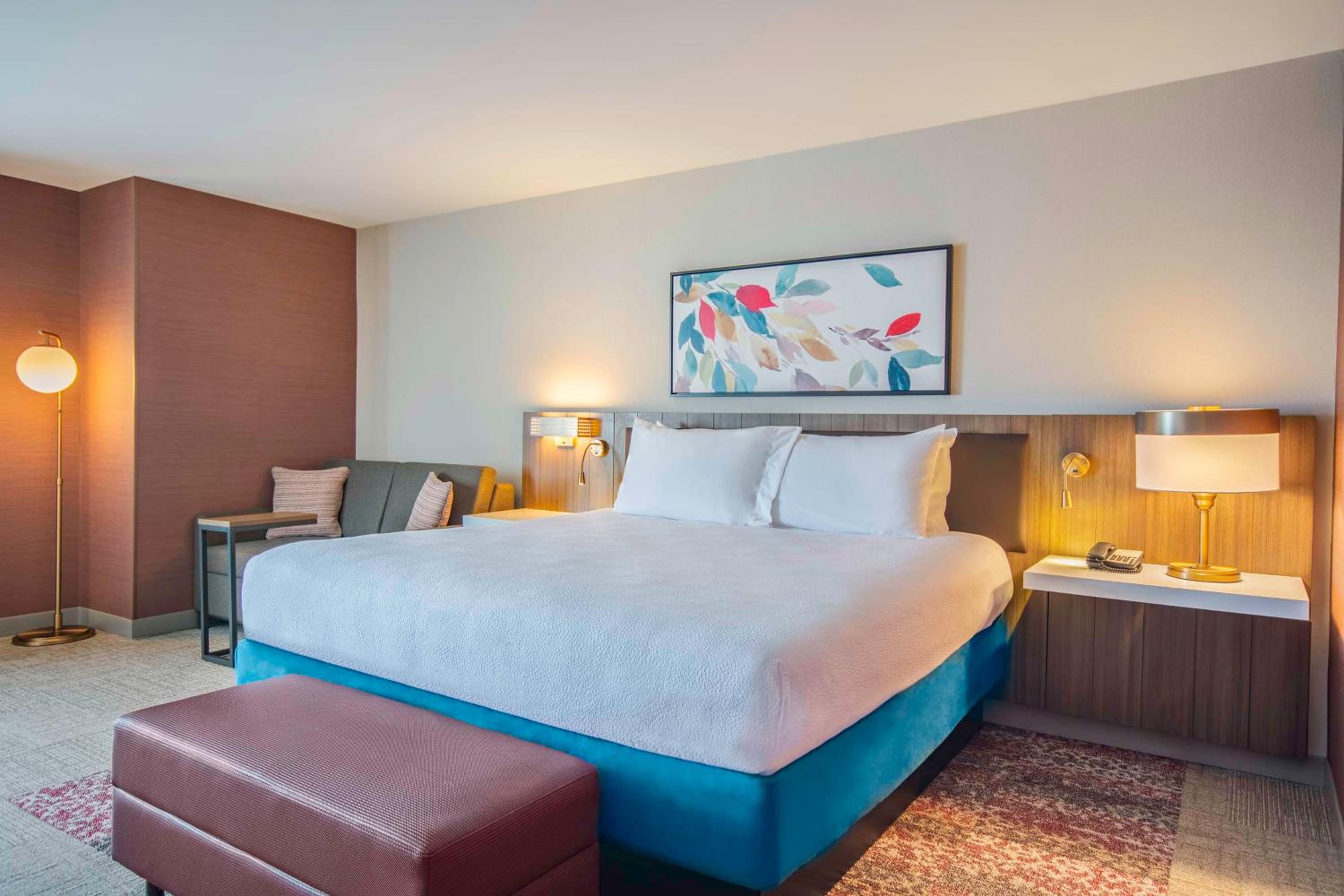 Premium King Room photo 2