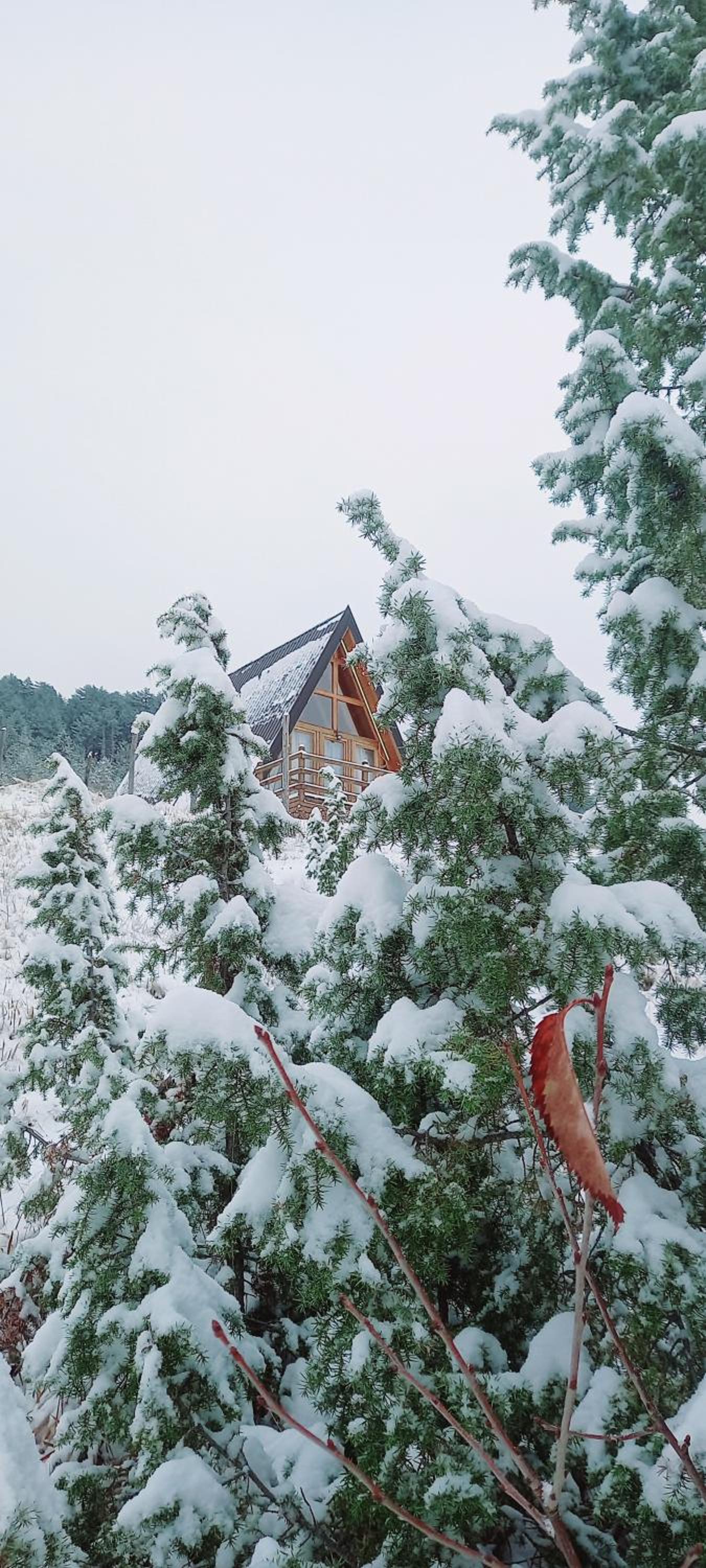 One-Bedroom Chalet