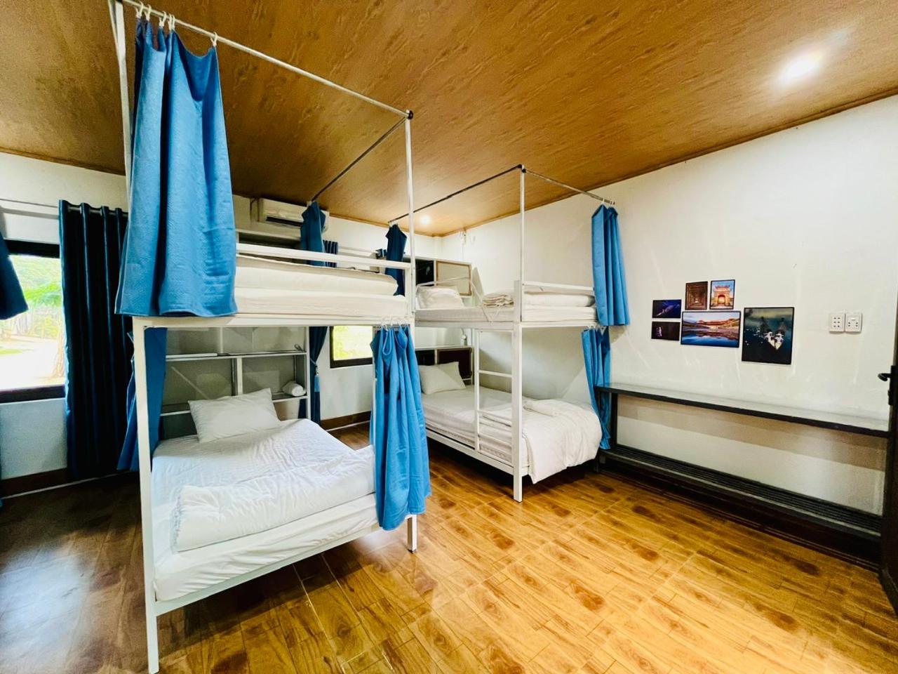 Bunk Bed in Mixed Dormitory Room