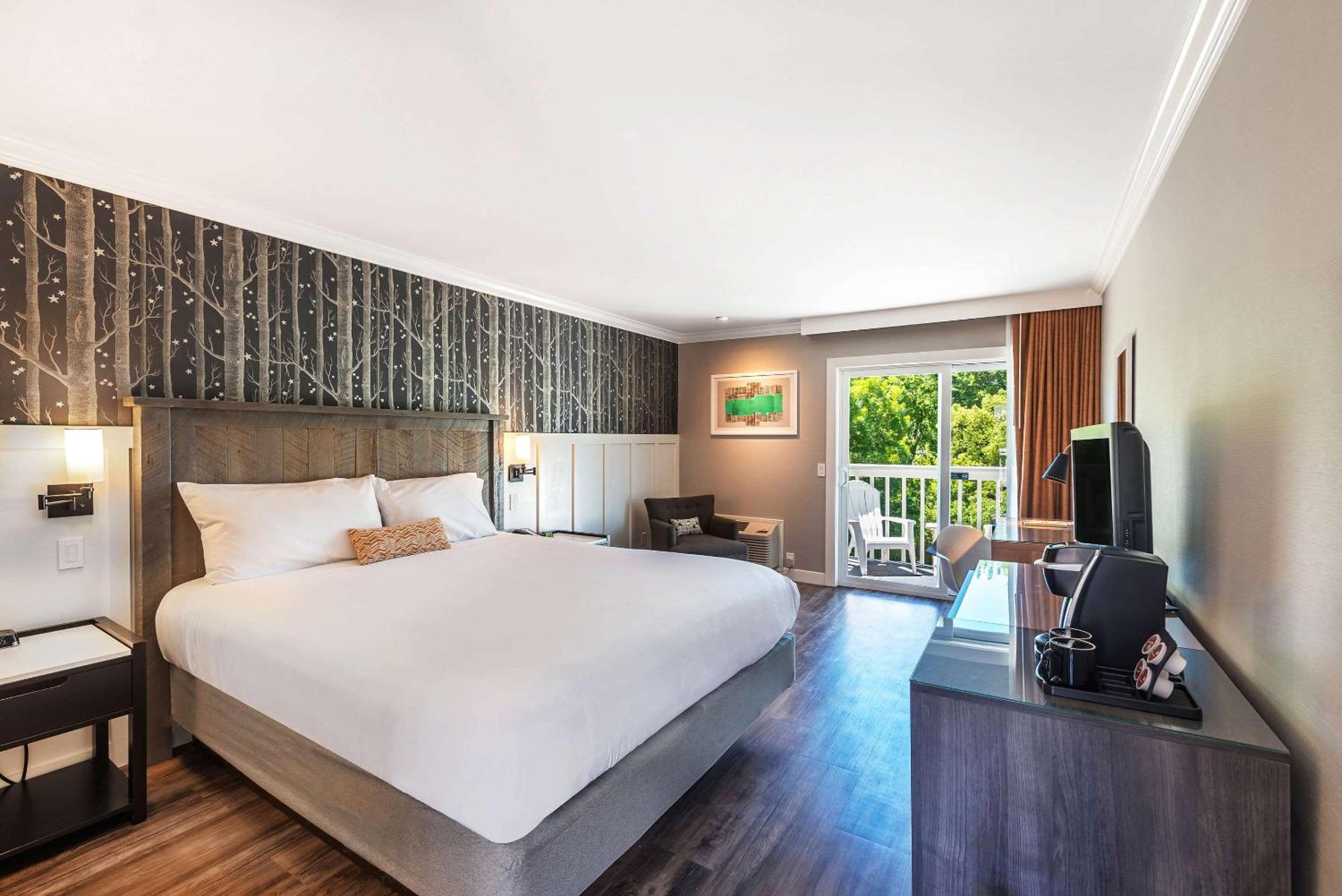 King Room with Patio - Non-Smoking - Photo 1