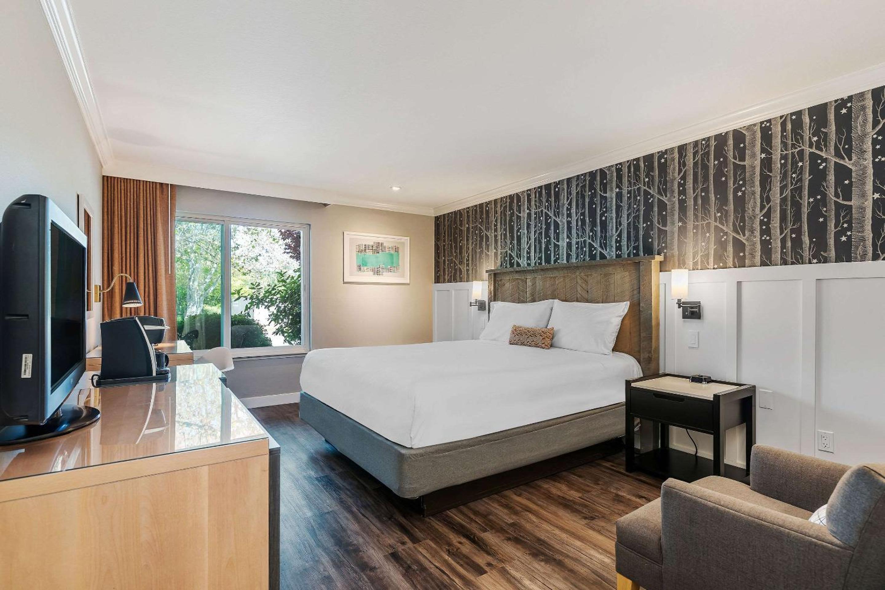 King Room - Non-Smoking - Photo 1