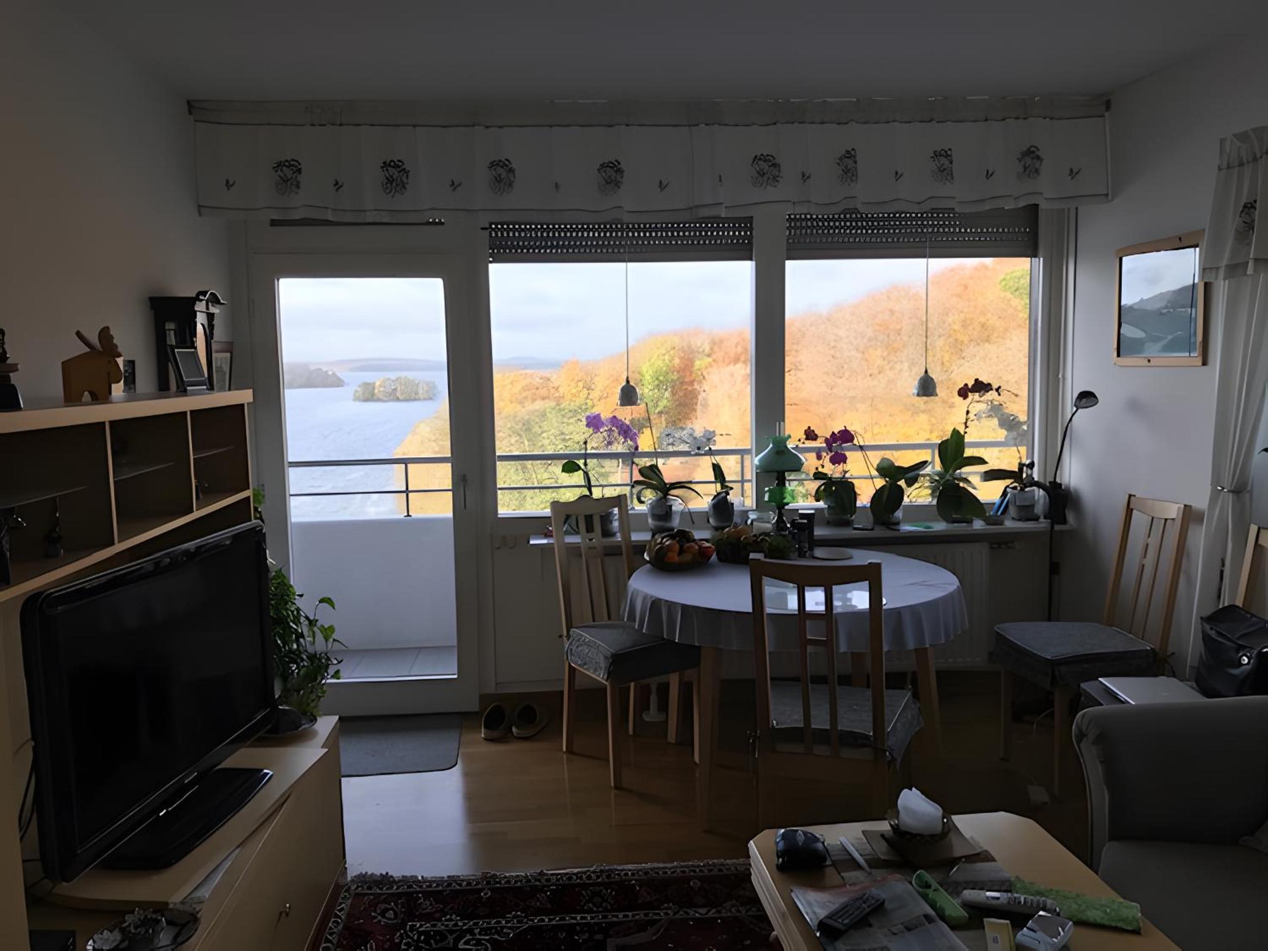 Superior One-Bedroom Apartment With Balcony photo 2